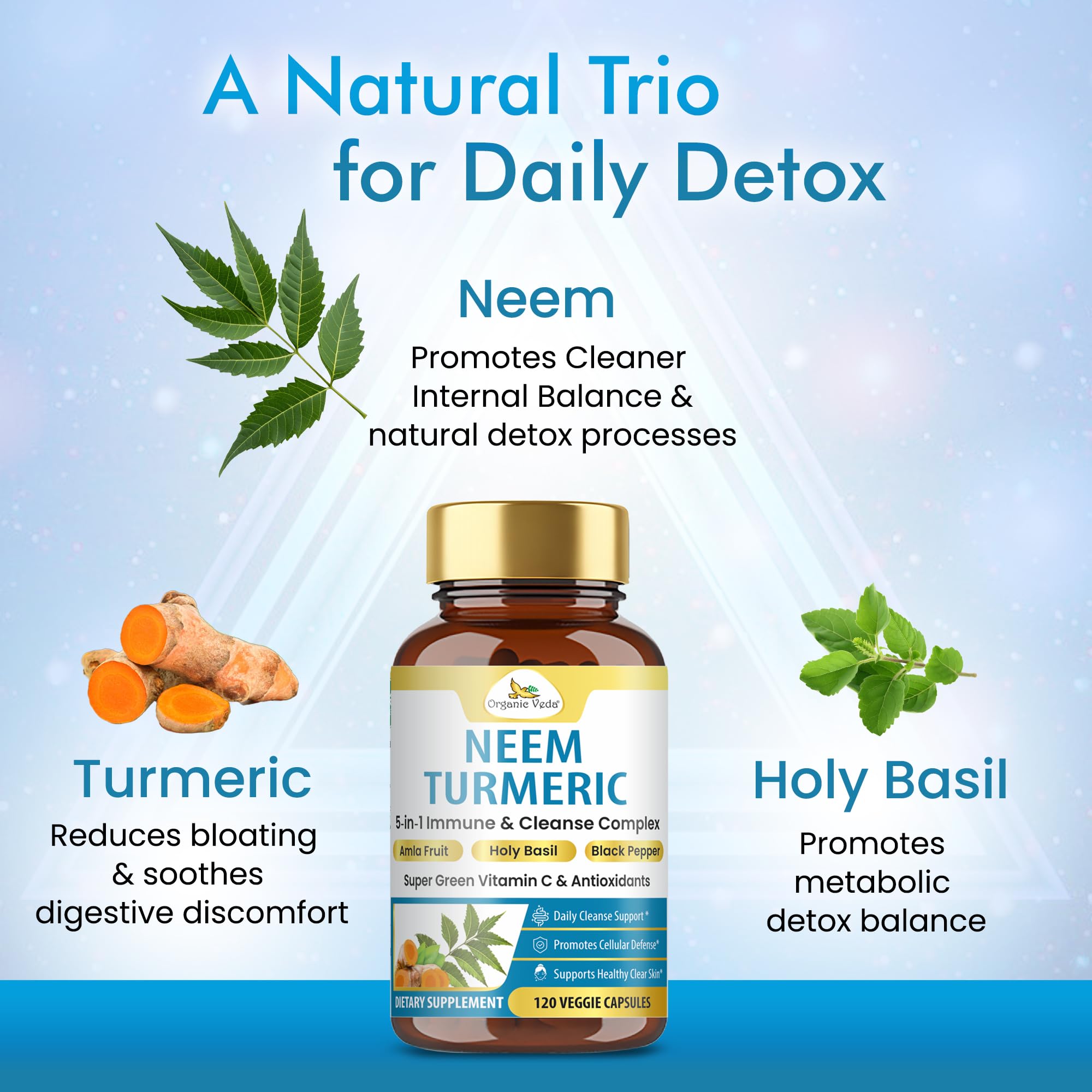 Organic Veda Neem Turmeric Capsules - 5 in 1 Herbal Complex with Amla Fruit, Holy Basil, Black Pepper - Immune, Cleanse, Skin & Gut Health Supplement with Vitamin C & Antioxidants 120 Vegan Capsules