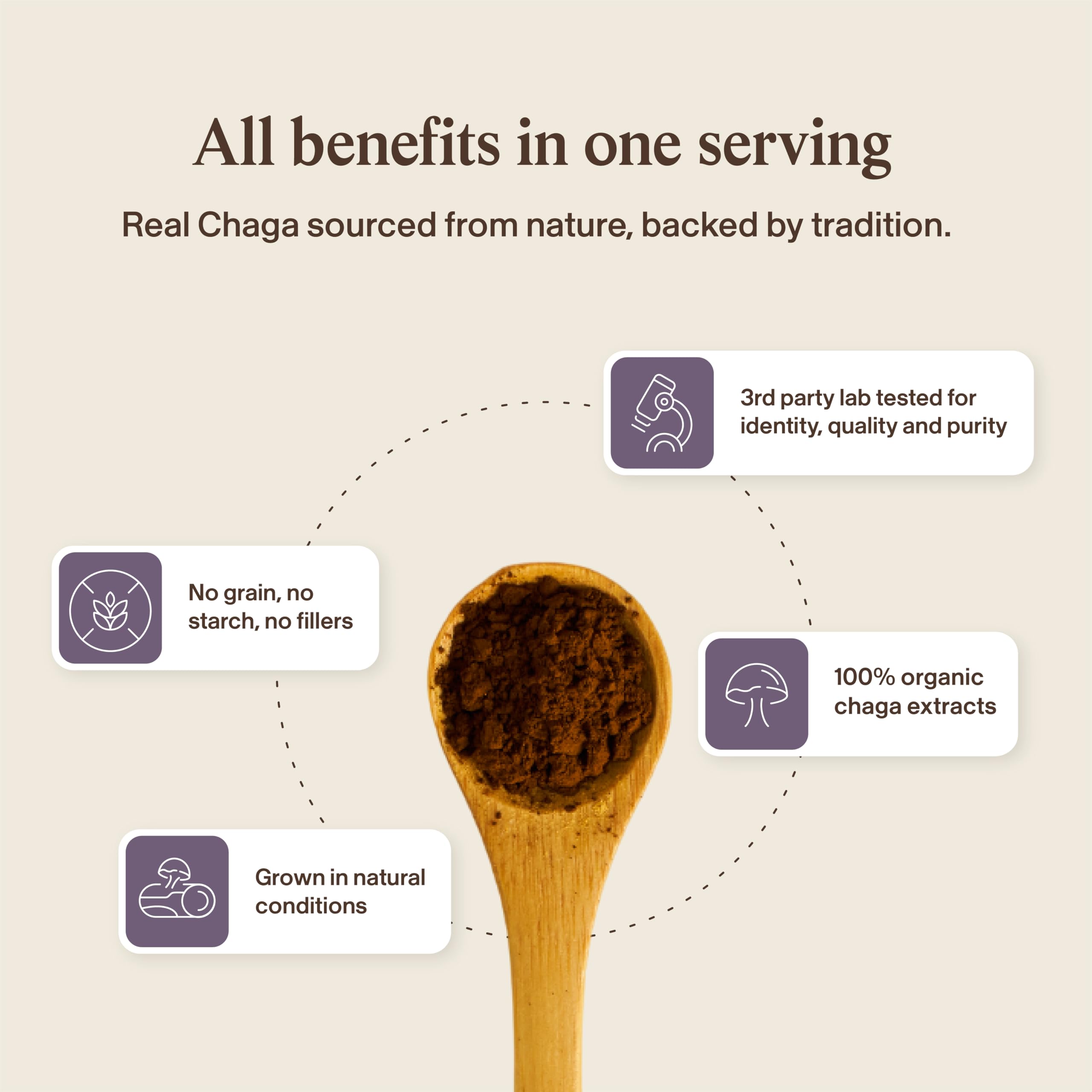 Real Mushrooms Chaga Mushroom Capsules – Organic Chaga Extract Powder with Extract Powder for Wellness & Energy Support– Vegan, Non-GMO, 300 Capsules – Organic Mushroom Supplement