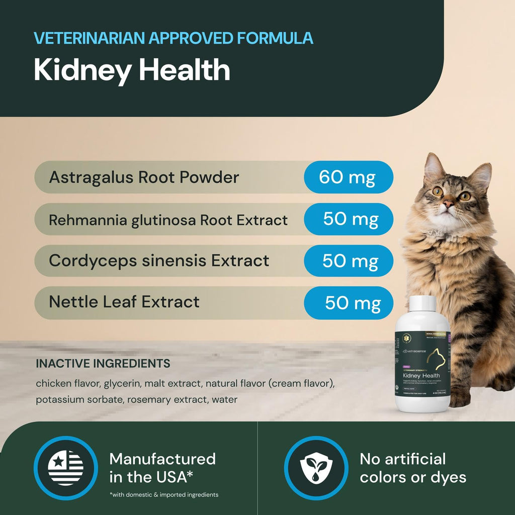 VetriScience Renal Essentials Pro Liquid - Kidney Functions & Maintenance Support Supplement for Cats - Health Supplement Aids Renal Blood Flow - Liquid Kidney Care Aid for Felines - 4 oz