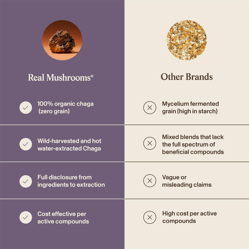 Real Mushrooms Chaga Mushroom Capsules – Organic Chaga Extract Powder with Extract Powder for Wellness & Energy Support– Vegan, Non-GMO, 300 Capsules – Organic Mushroom Supplement