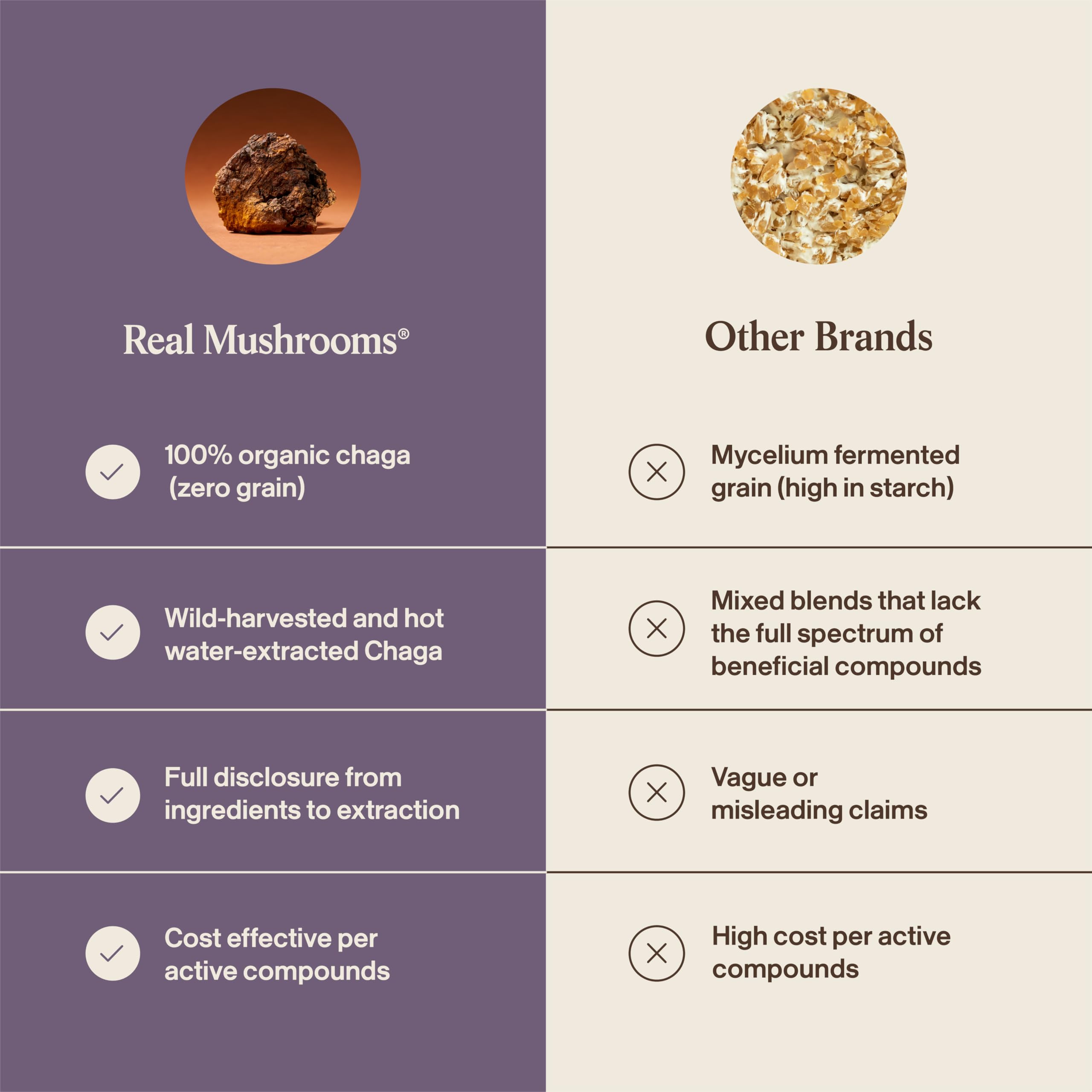 Real Mushrooms Chaga Mushroom Capsules – Organic Chaga Extract Powder with Extract Powder for Wellness & Energy Support– Vegan, Non-GMO, 300 Capsules – Organic Mushroom Supplement