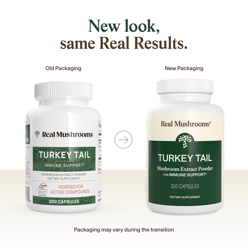 Real Mushrooms Turkey Tail Capsules – Organic Mushroom Extract for Daily Wellness, Gut Harmony, Energy Support – Vegan, Non-GMO, No Fillers – Turkey Tail Extract 200 Count Mushroom Supplement