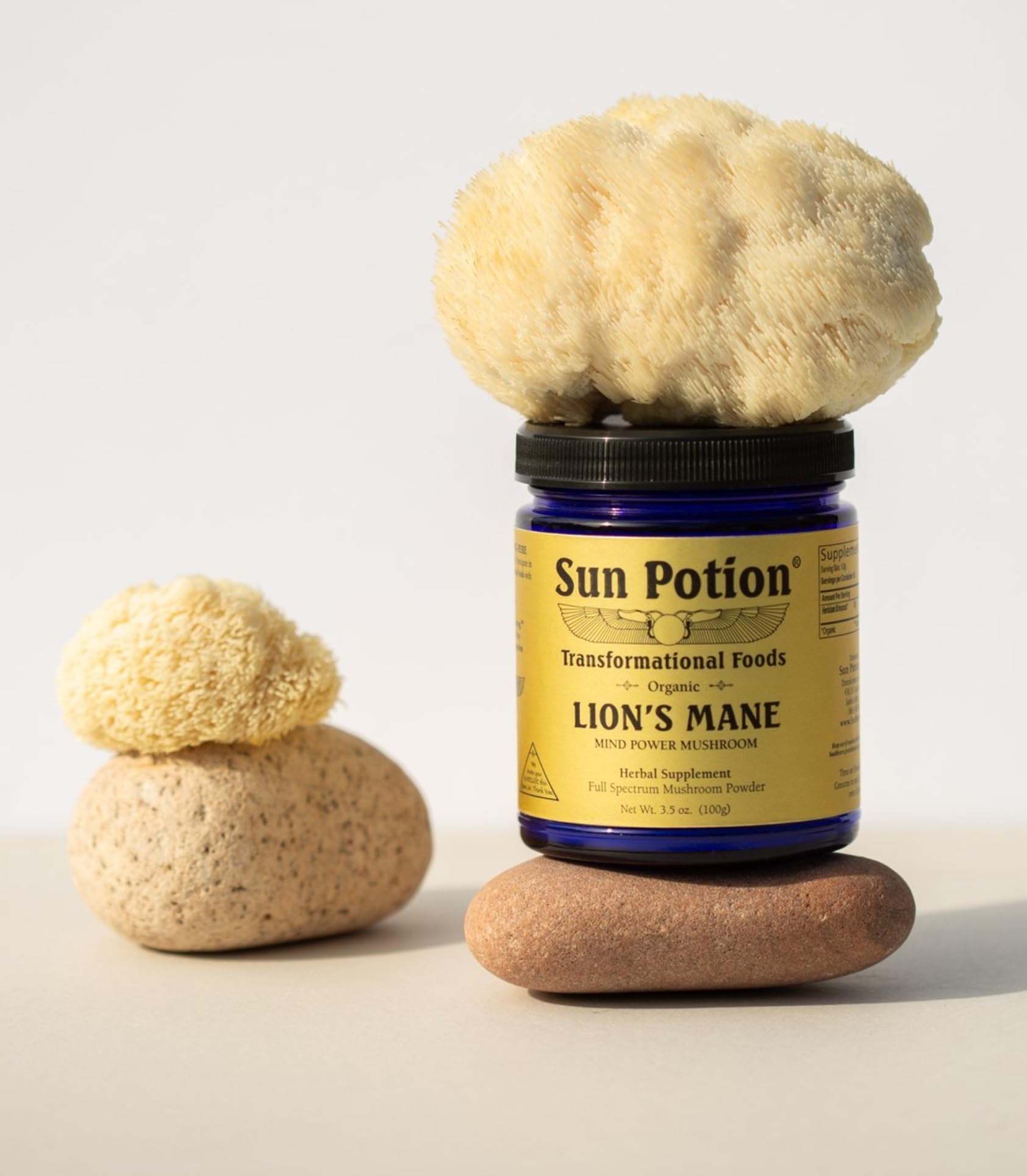 Sun Potion Lion’s Mane (Organic) - Mind Power Mushroom (100g)