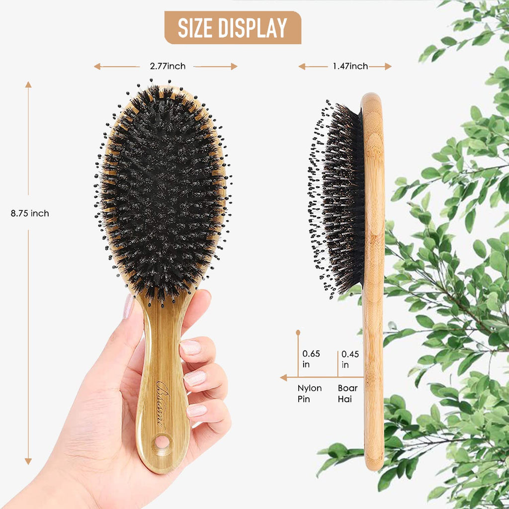 Bsisme Hair Brush, Boar Bristle & Soft Nylon Detangling HairBrush