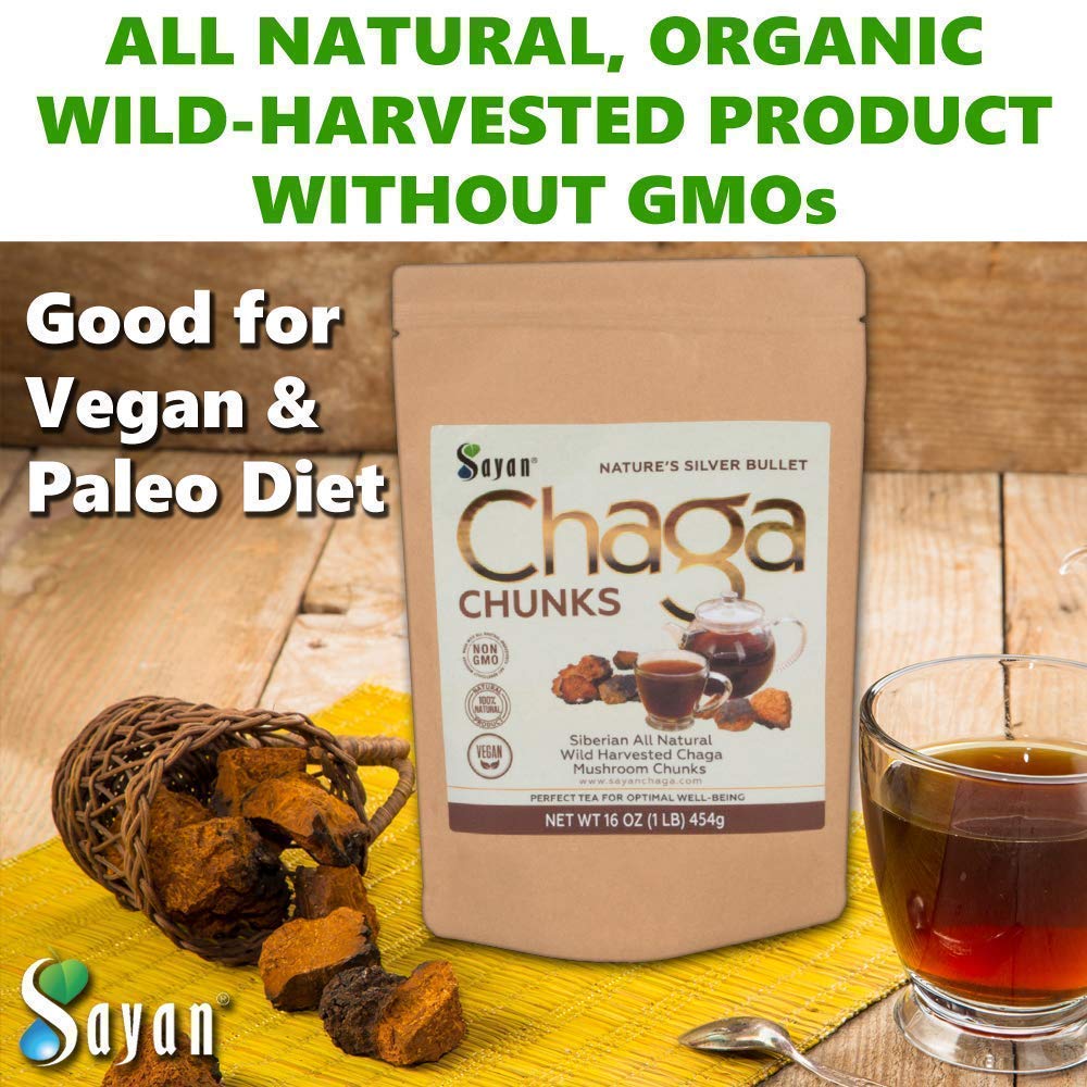 Sayan Siberian Pure Raw Chaga Mushroom Chunks with Black Top Crust 16 Oz / 1 lb – Premium Wild-Harvested Antioxidant Tea for Immune Support, Focus and Digestive Health - Non-GMO