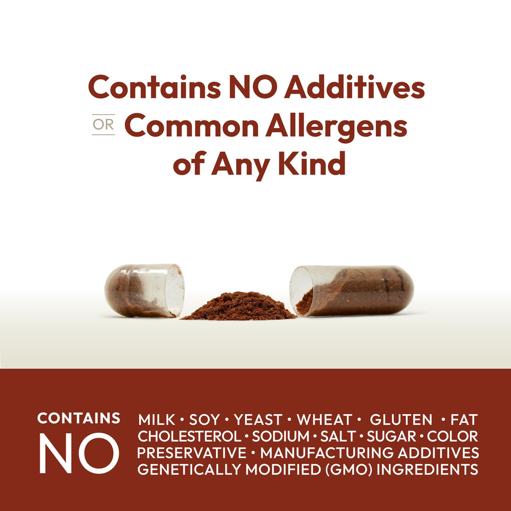 ANDREW LESSMAN Cinnamon 400mg - 60 Capsules - High Potency, Standardized Extract. No Additives. Small Easy to Swallow Capsules