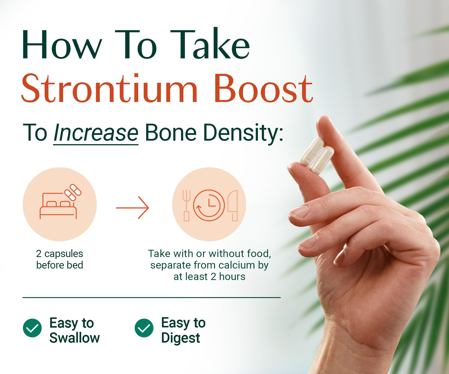AlgaeCal Strontium Boost for Bone Density & Strength, 60 Caps, 3 Packs