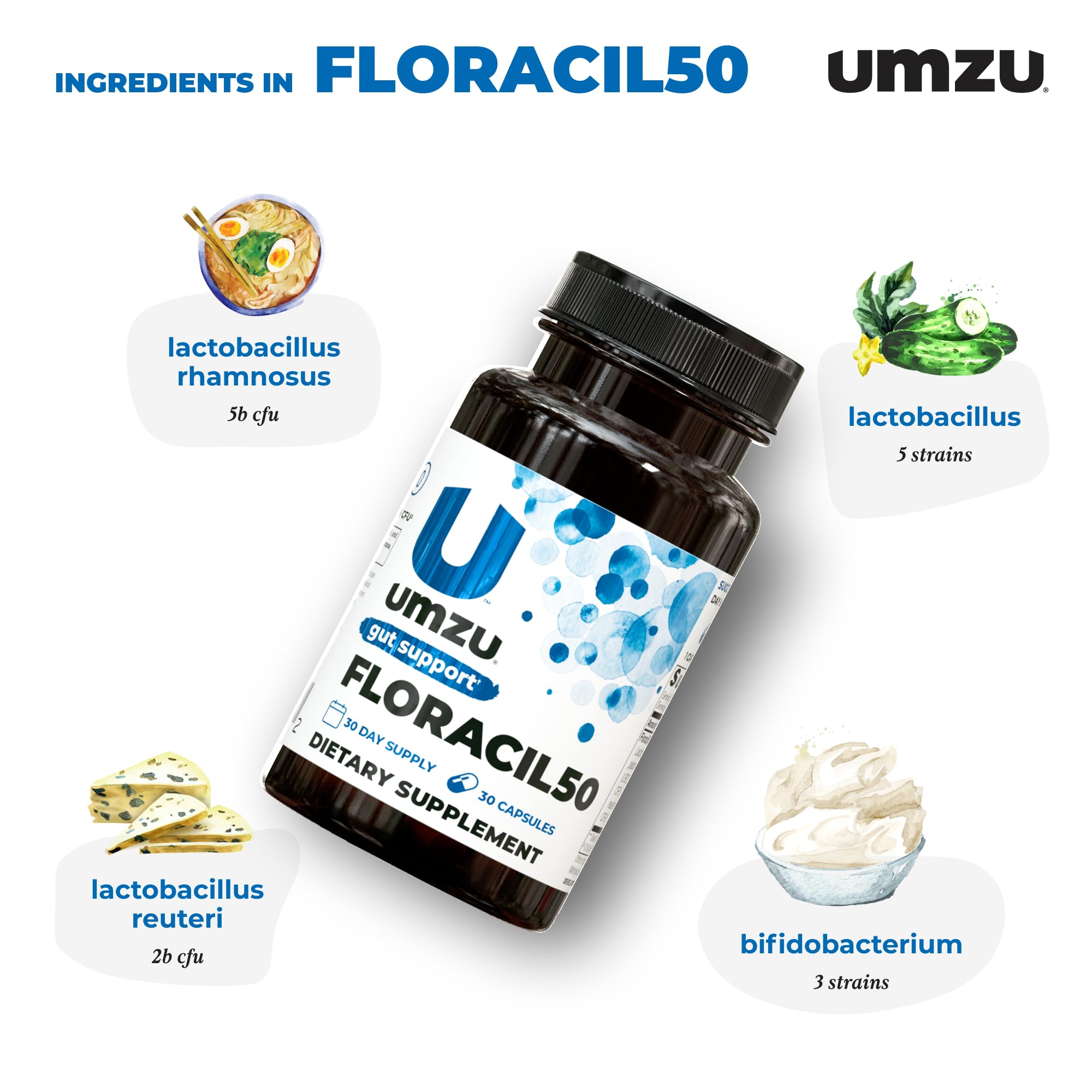 UMZU Floracil50 Probiotic Supplement 30 Day Supply – 50 Billion CFU with Lactobacillus Acidophilus Rhamnosus and Plantarum – Supports Gut Health Digestion Immunity and Microbiome Balance