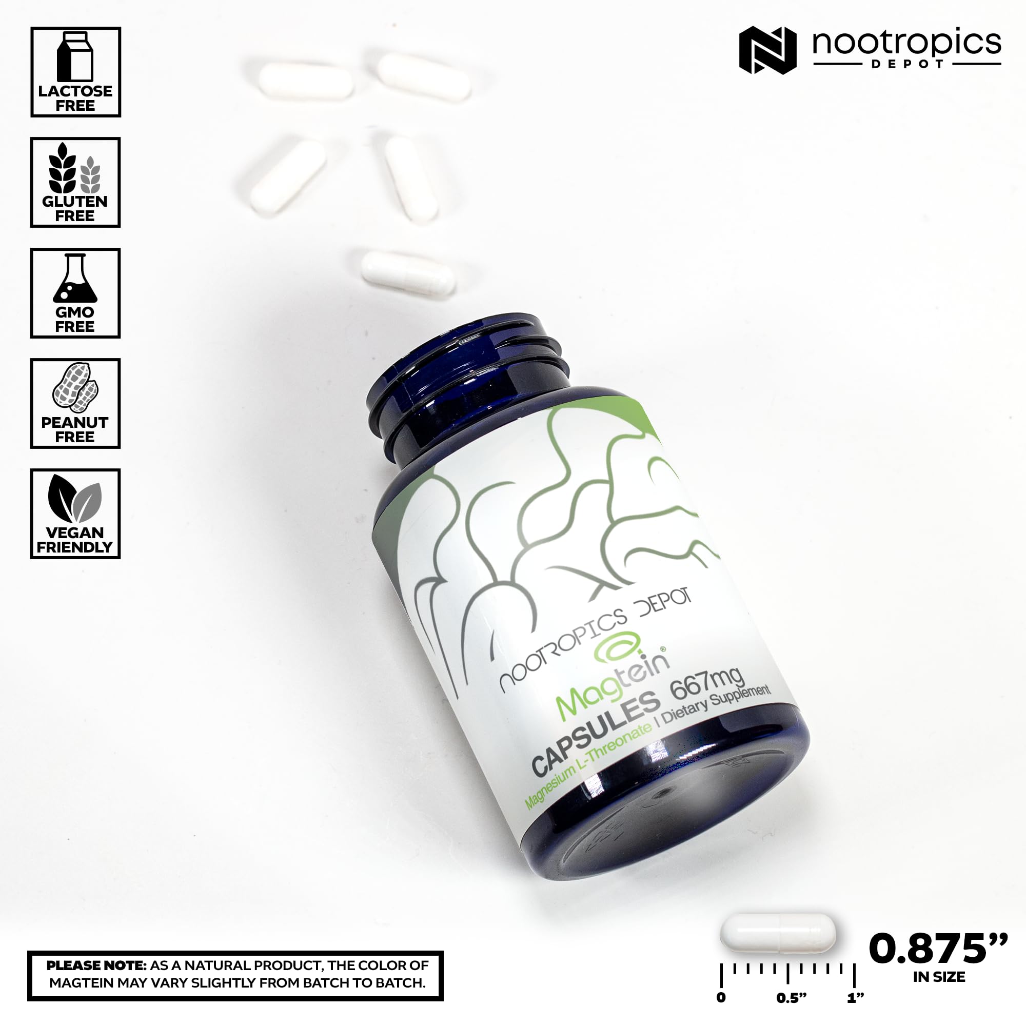 Nootropics Depot Magtein Magnesium L-Threonate Capsules | 90 Count | Mineral Supplement | Natural | Supports Mitochondrial Function | Boosts Energy and Cognitive Function