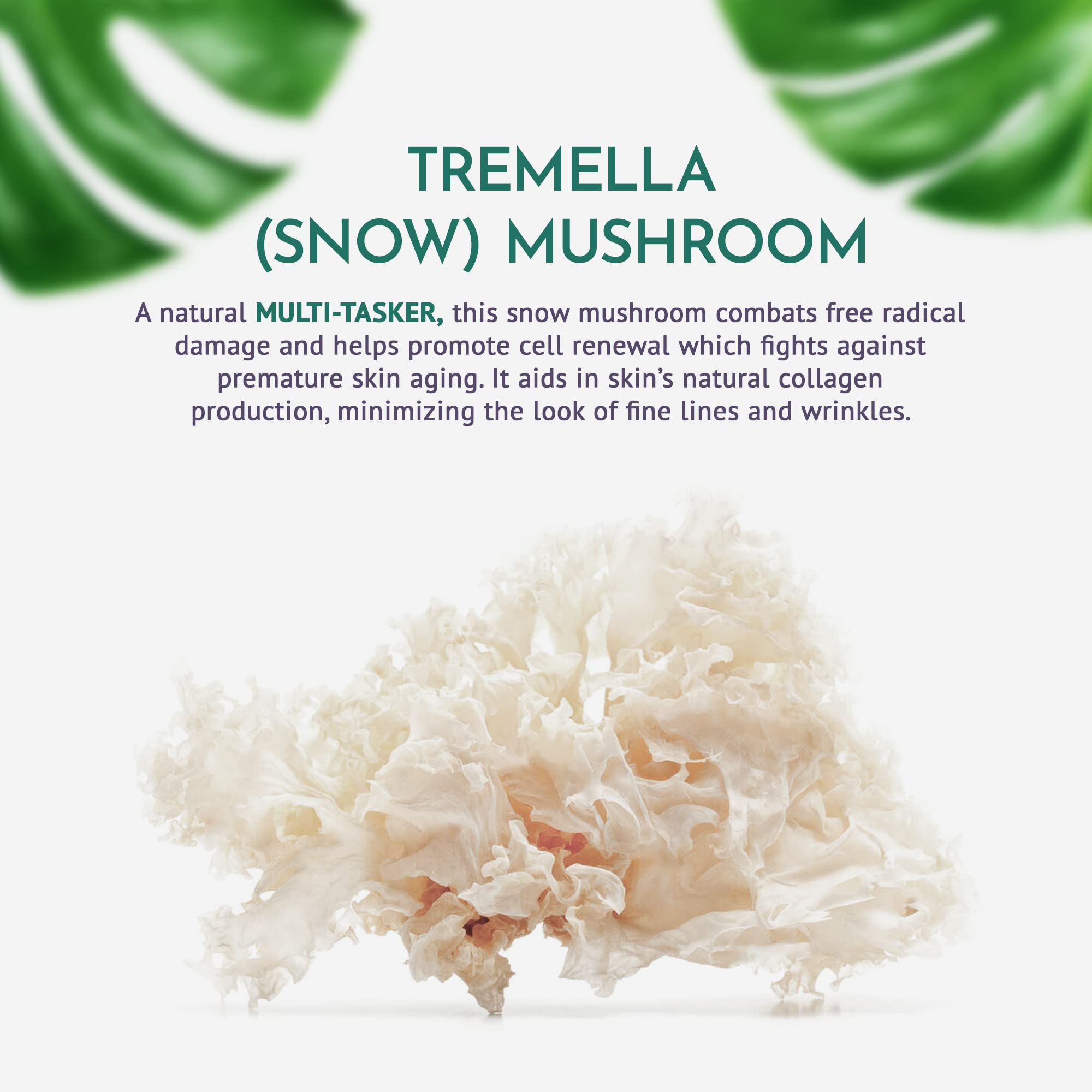 Organic Tremella Mushroom Facial Serum | Twice The Hydration of Hyaluronic Acid Without The Sticky Mess | Ultra-hydrating, Microbiome Friendly All Natural, Organic, Vegan Serums for Face