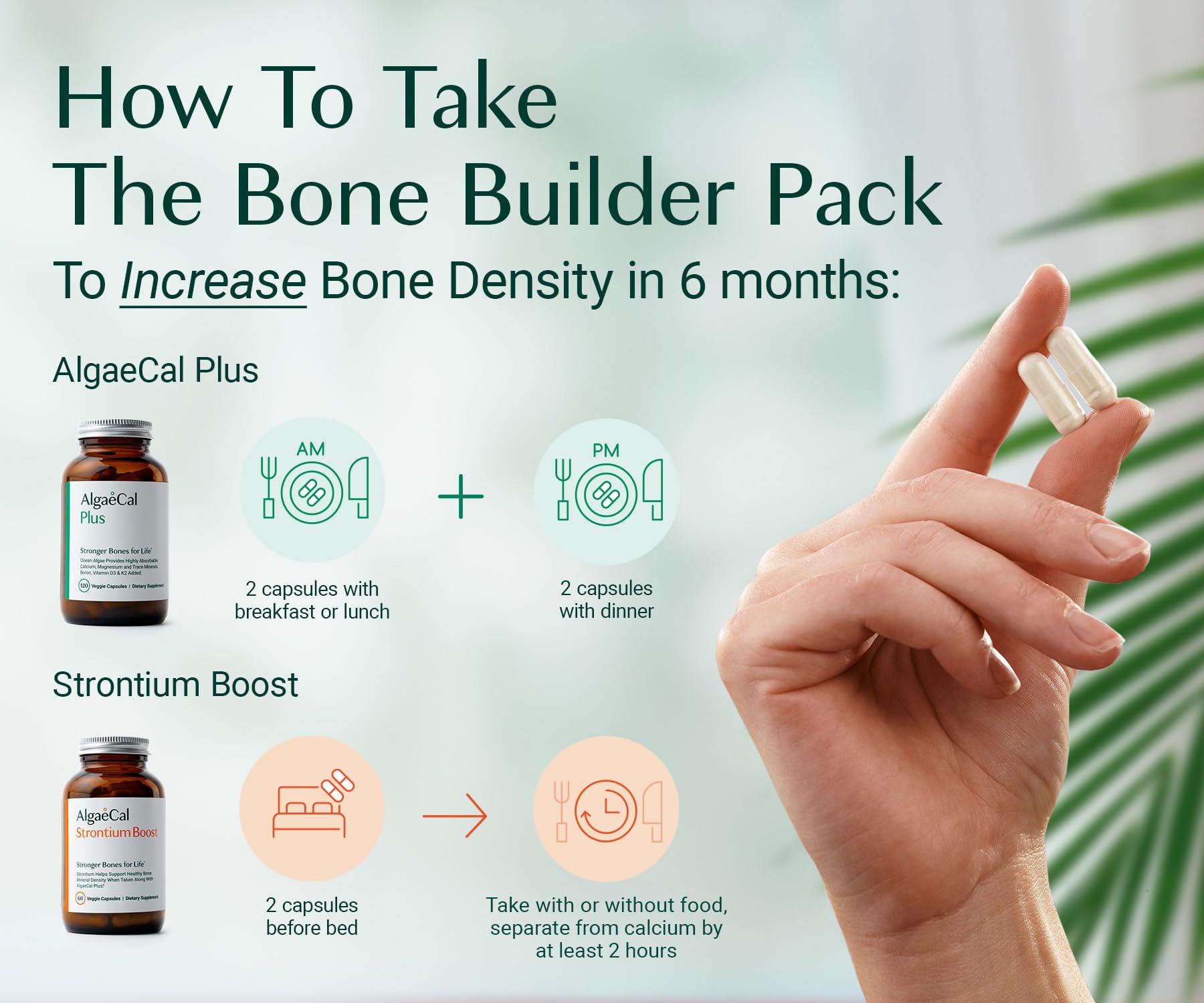 ALGAECAL Bone Builder Pack - Plant Based Calcium Supplement & Strontium - Organic Calcium 720mg with Vitamin D3 1600 IU, Vitamin K2, Magnesium, 16 Nutrients for Bone Health & Density (1-Month Supply)