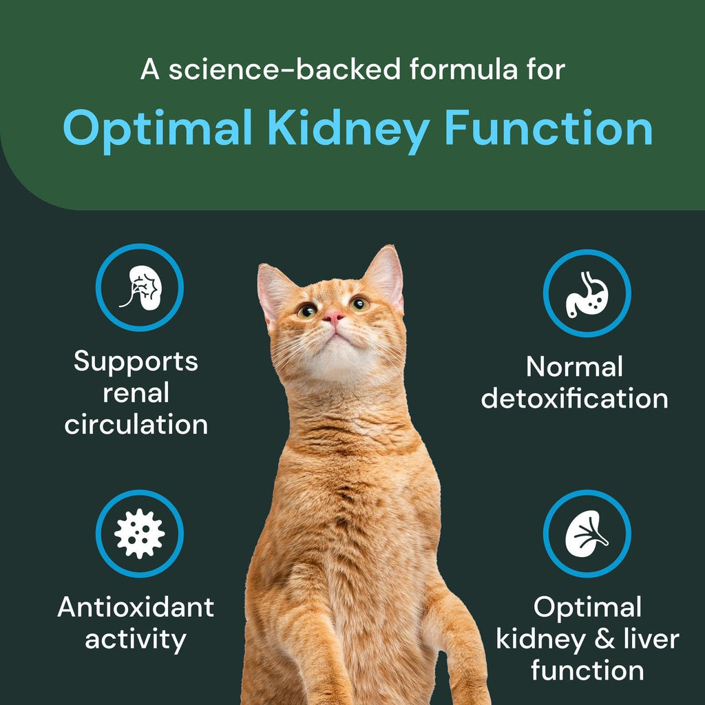VetriScience Renal Essentials Pro Liquid - Kidney Functions & Maintenance Support Supplement for Cats - Health Supplement Aids Renal Blood Flow - Liquid Kidney Care Aid for Felines - 4 oz