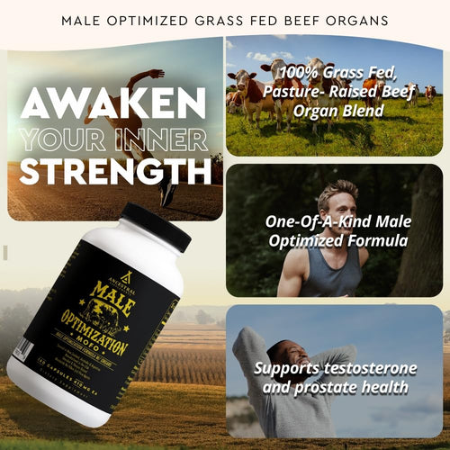 Ancestral Supplements Mofo, Supplements for Men, Support for Energy Levels and Overall Men's Health and Wellness, Non-GMO Grass Fed Beef Organ Supplement with Liver, No Fillers, 180 Capsules