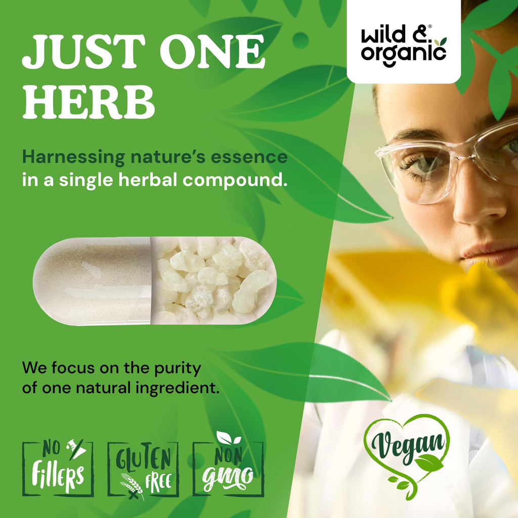 Wild & Organic Mastic Gum Capsules - 1000 mg Mastic Gum Supplement for Gut Support - 45 Days of Supply - 90 Vegan Resin Capsules - No Fillers, Non-GMO, Gluten-Free
