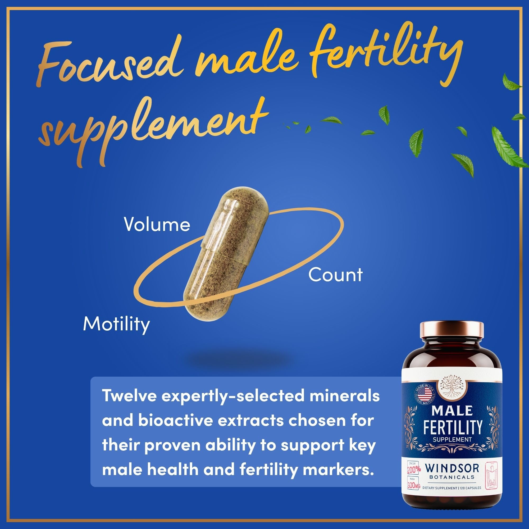Male Fertility Supplement with Maca Root - Mens Health Conception Fertility Prenatal Vitamins Plus Natural Extracts - Prenatal Fertility Supplements for Men - 3rd Party Tested - 120 Capsules, 2 Month