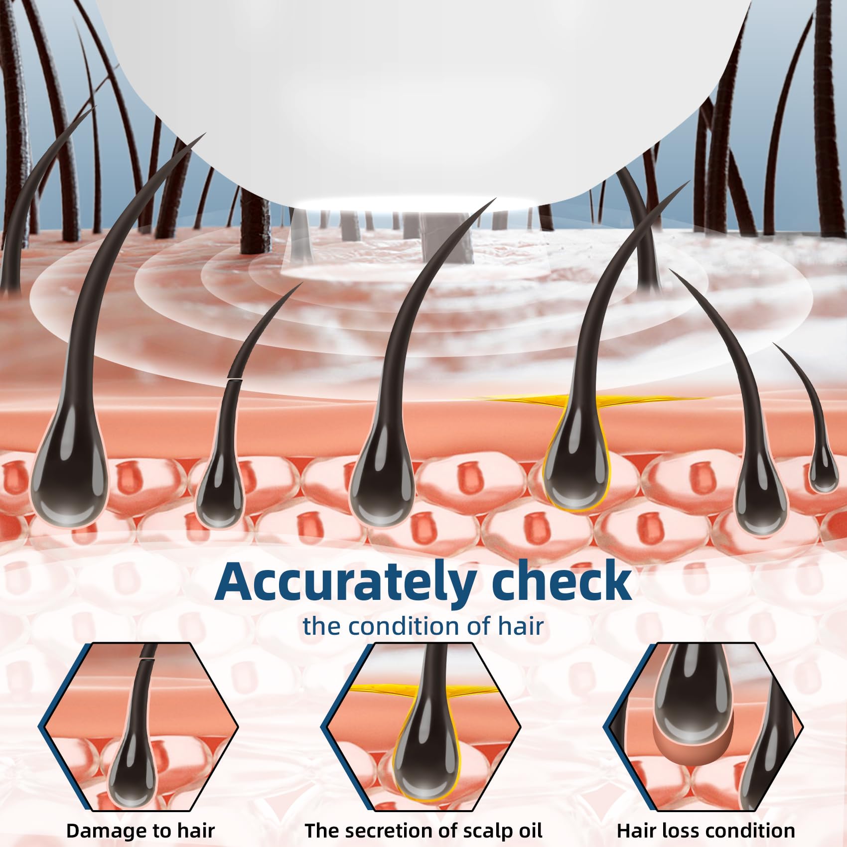 Scalp Analysis Machine, Skin Hair Analyze, 5 Inch LCD Screen Rechargeable Digital Scanner for Skin & Hair Analysis, 50x/200x DualHeads, Digital Scalp Health Detection Use for Home and Salon