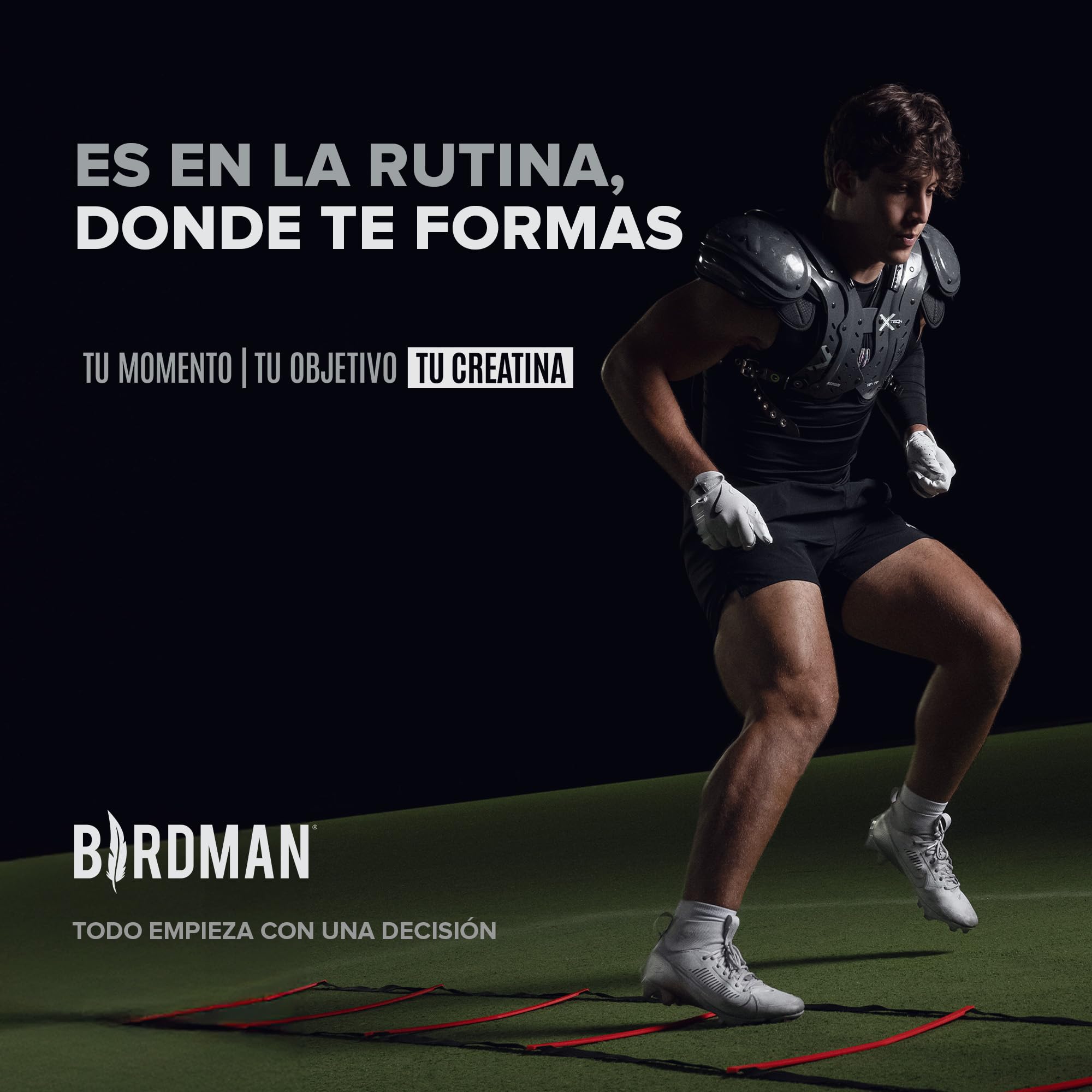 BIRDMAN Micronized Creatine Monohydrate Powder, Unflavored, High-Purity, Organic, Muscle Recovery, Caffeine Free Pre Workout, Post Workout, Gluten Free, Sugar Free