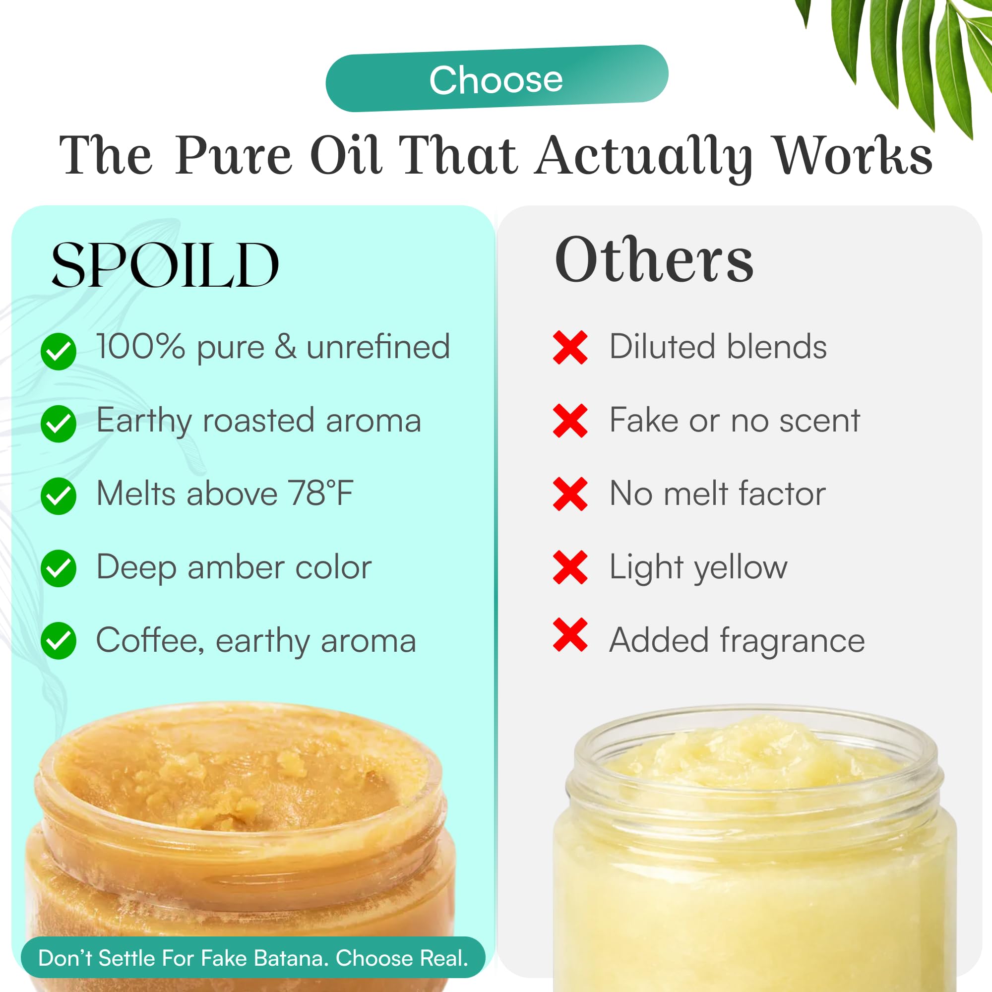 SPOILD Raw Batana Oil for Hair Growth - 100% Organic & Unrefined, Sourced from Honduras - Hair Thickening & Strengthening Oil - Reduces Hair Loss, Adds Shine & Repairs Damaged Hair, 2 oz