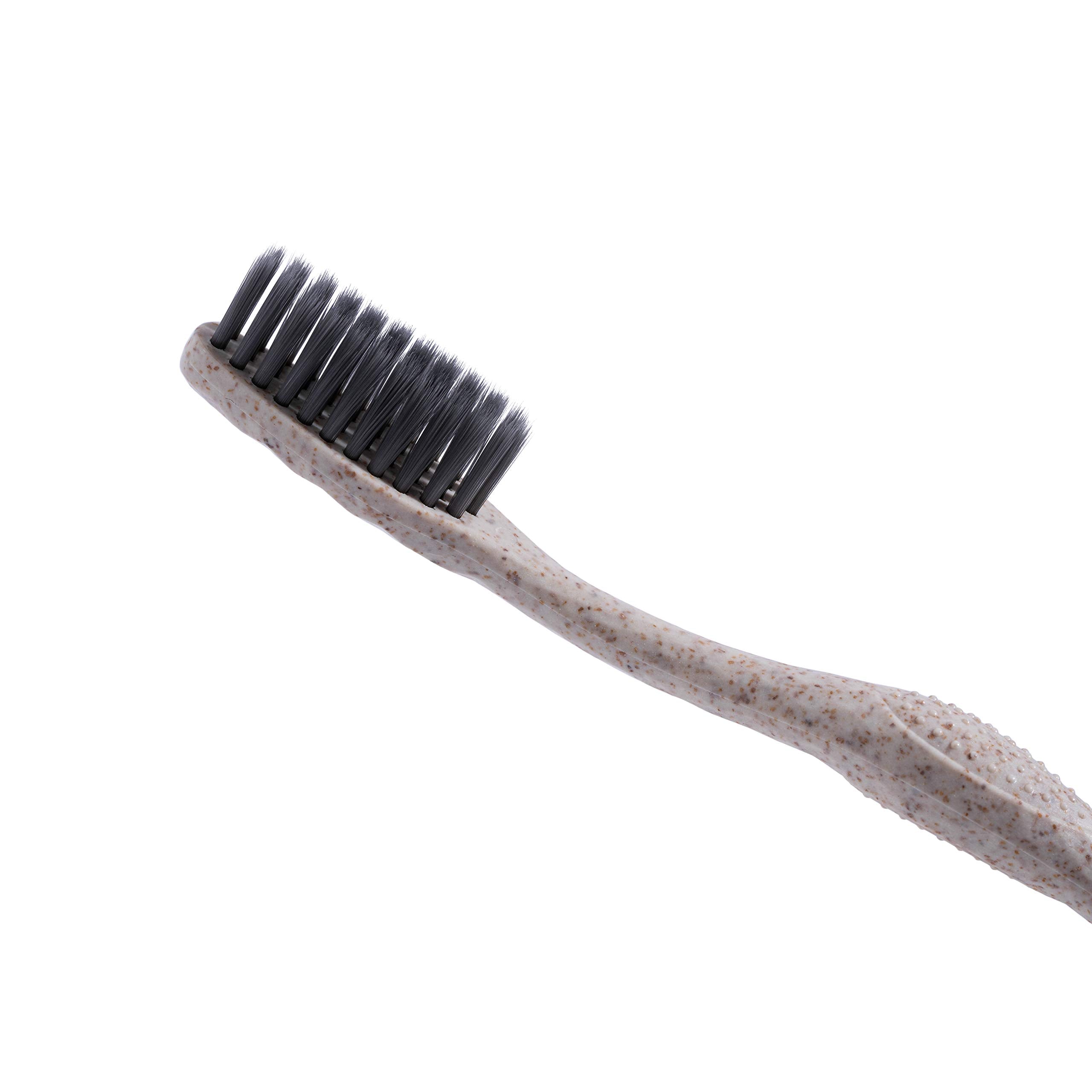 Bleeker and Rowe Biodegradable Eco-Friendly Toothbrushes - Individually Sealed - BPA Free Soft Bristles - Sustainable - Recycled Packaging (Pack of 100)