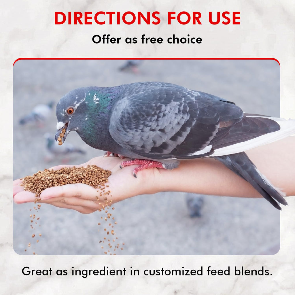 Morning Bird Pigeon Grit - Healthy & Nutritious Pigeon Food to Support Strong Muscles & Bones for Grit Eating Birds - Supports Digestion & Packed with Essential Minerals 9 lbs