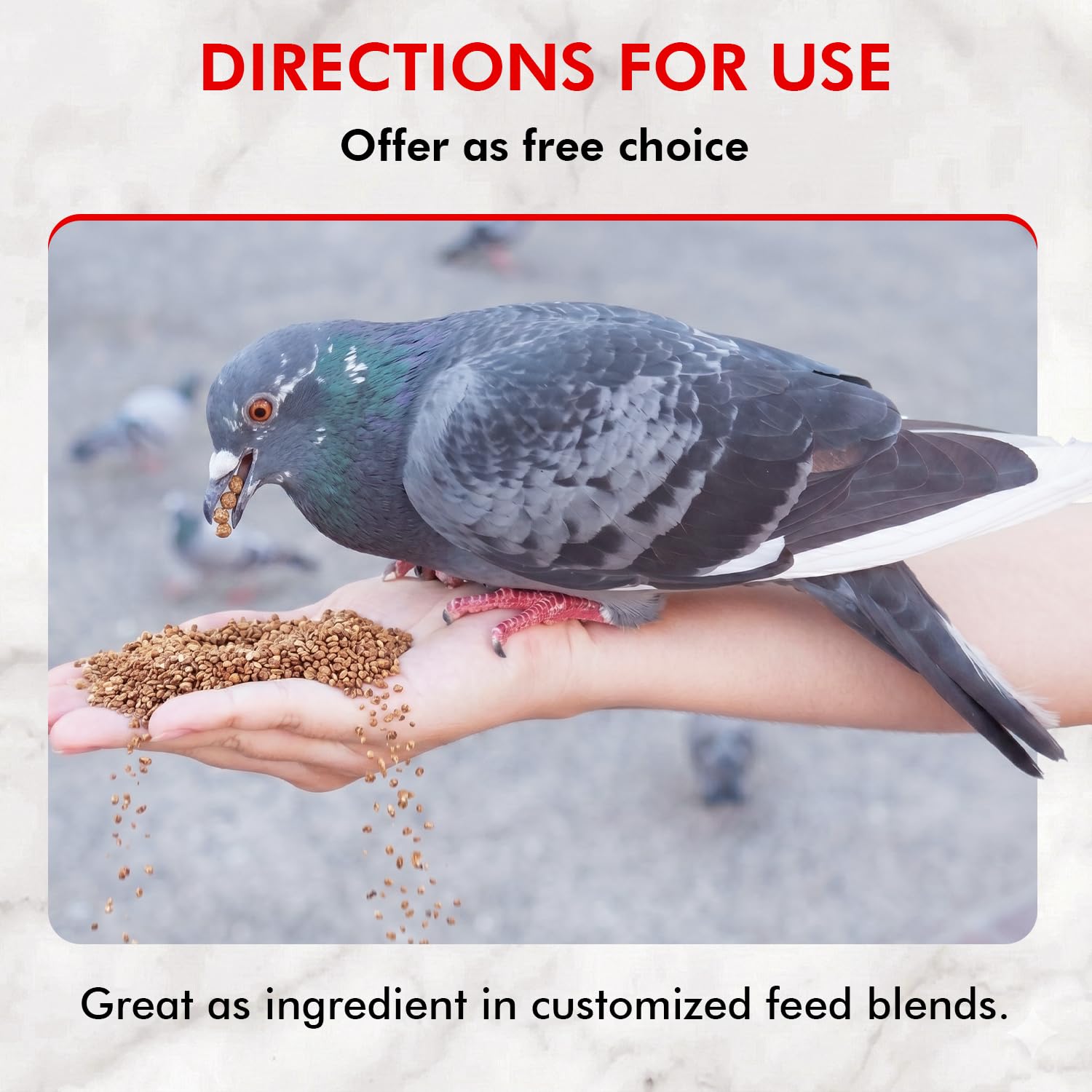 Morning Bird Pigeon Grit - Healthy & Nutritious Pigeon Food to Support Strong Muscles & Bones for Grit Eating Birds - Supports Digestion & Packed with Essential Minerals 9 lbs