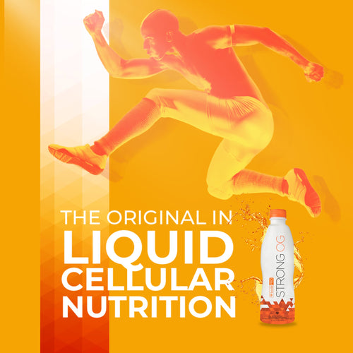 BodePRO Strong OG | Liquid Antioxidant | Magnesium, Iron, Zinc | Immune Booster | Vitamin C, B12, D3, B6, A, and E | Vitamins and Minerals | 32fl.oz.