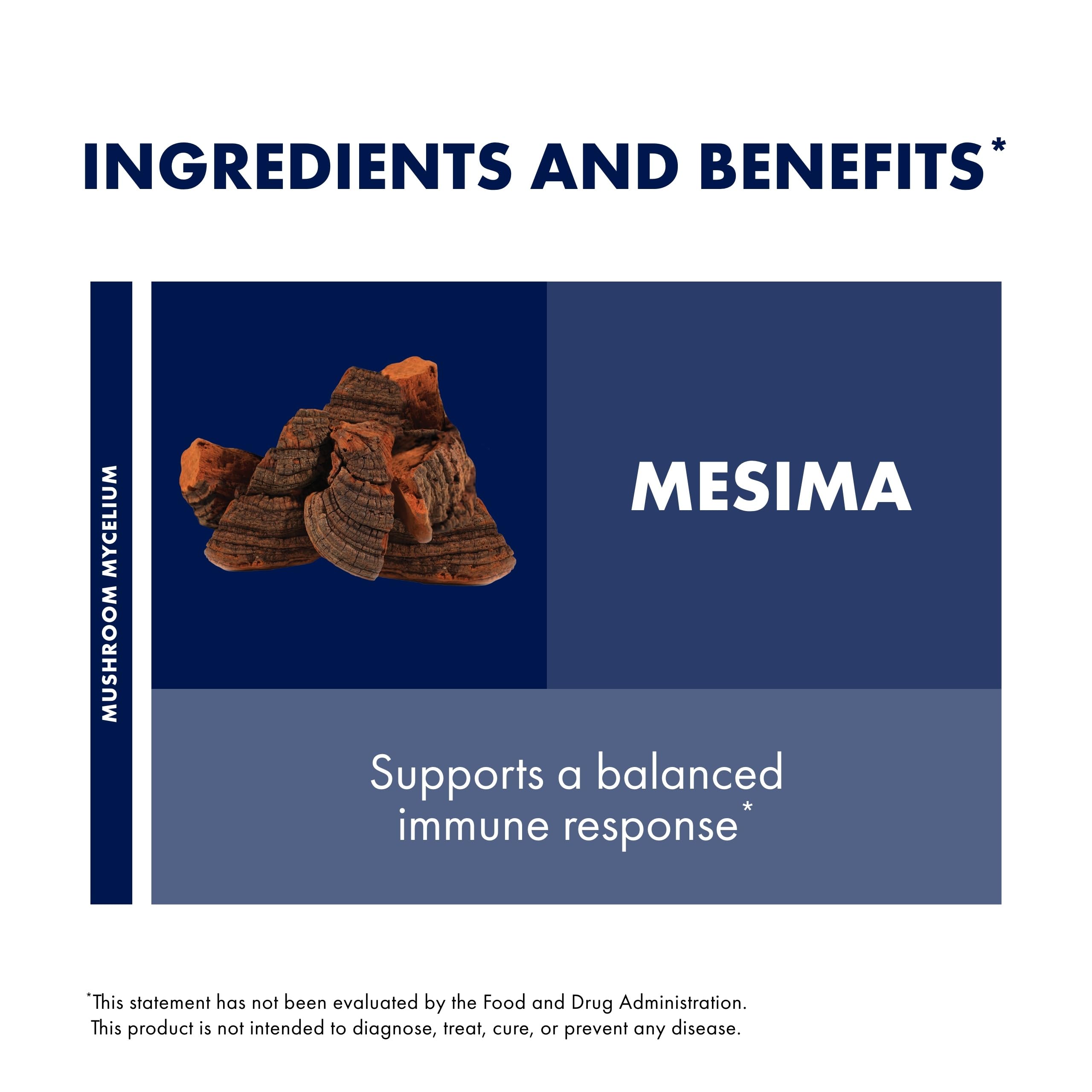 Host Defense Mesima Capsules - Herbal Antioxidant Activity & Immune System Support Supplement - Mushroom Supplement to Support Balanced Immune Response - 60 Capsules (30 Servings)*