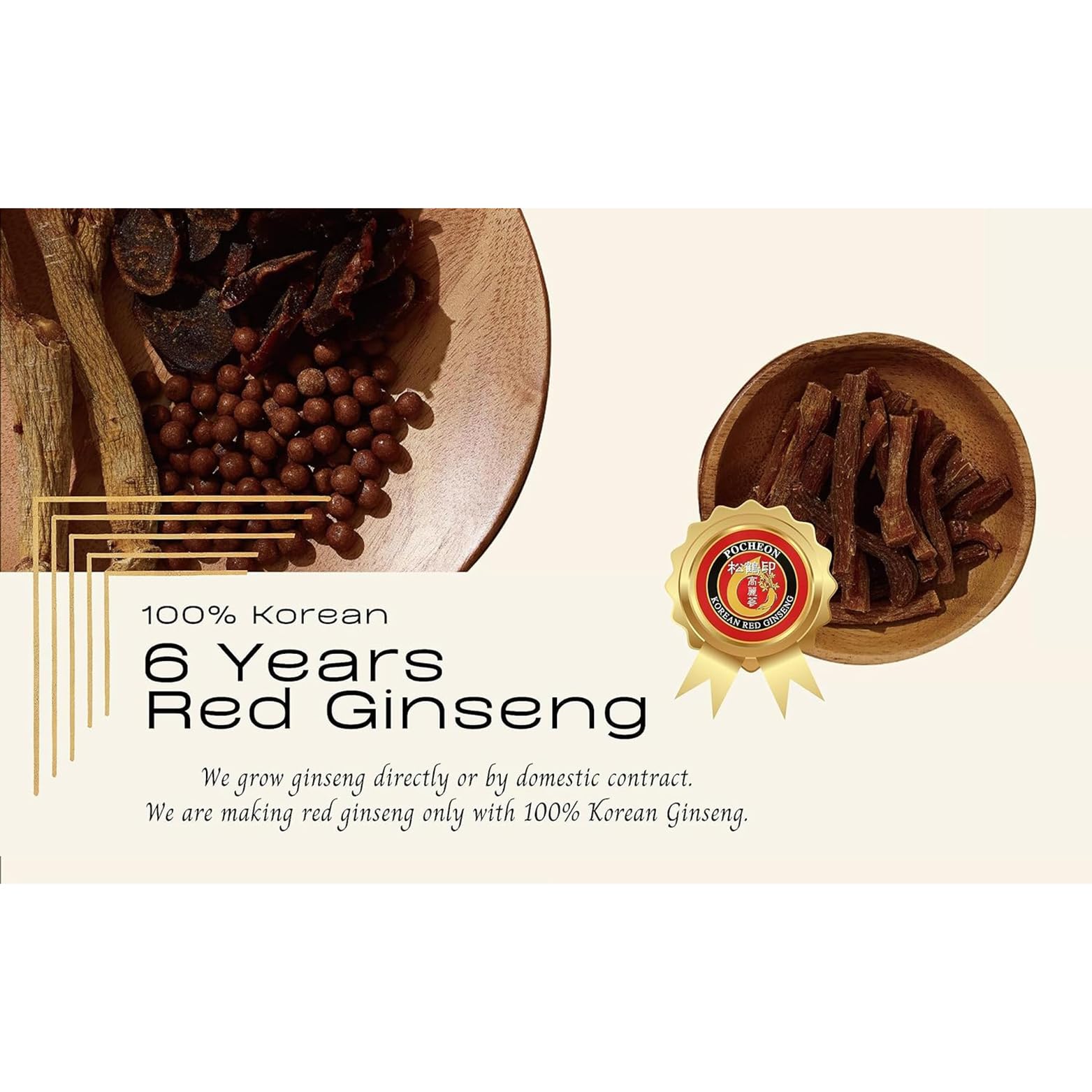 Pocheon 200g(20g x 10) 6Years Sliced Korean Panax Red Ginseng Root with Honey, Natural Immune Support