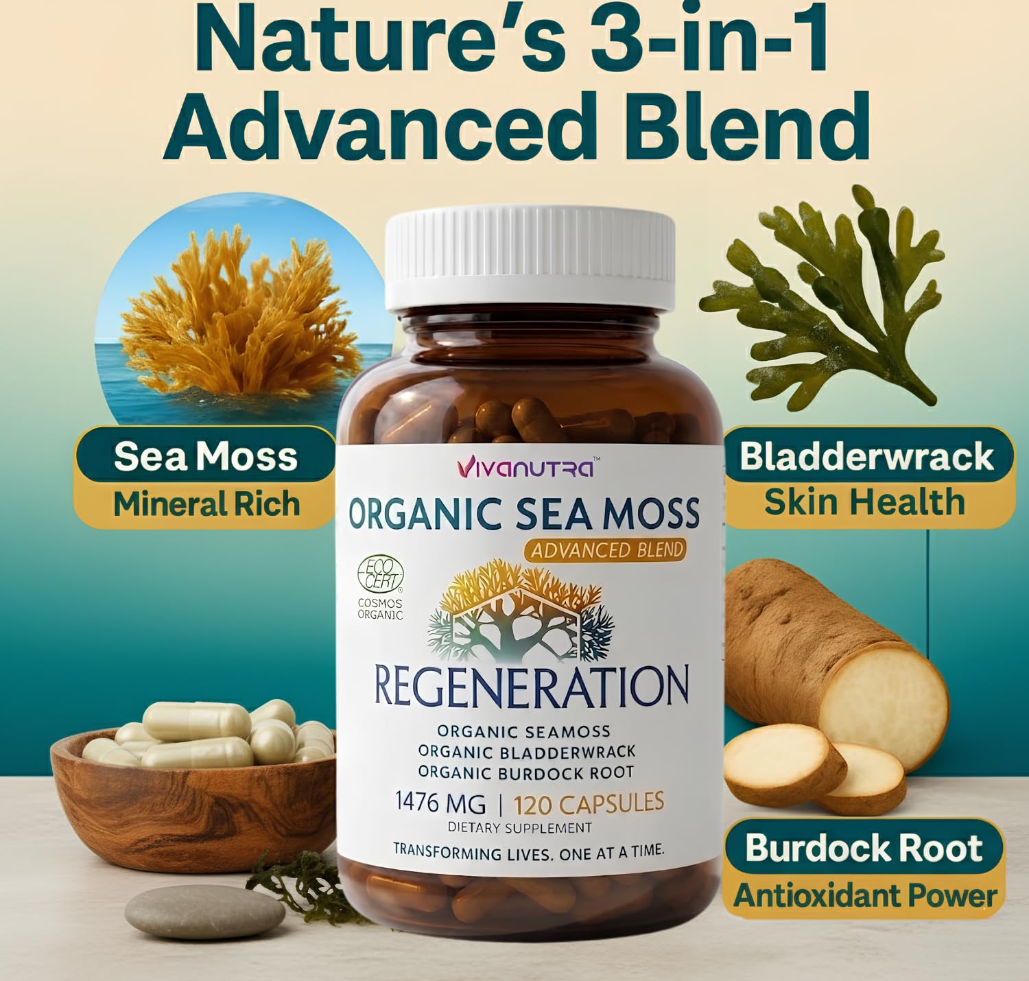 VIVANUTRA Organic Wildcrafted Sea Moss Capsules, 1476mg, Nova Scotia, 120ct