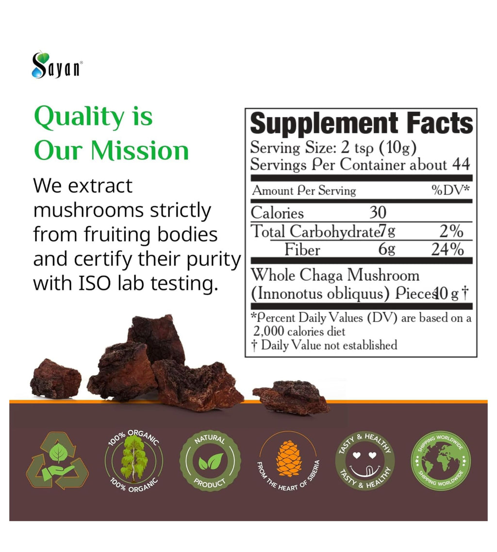 Sayan Siberian Pure Raw Chaga Mushroom Chunks with Black Top Crust 16 Oz / 1 lb – Premium Wild-Harvested Antioxidant Tea for Immune Support, Focus and Digestive Health - Non-GMO