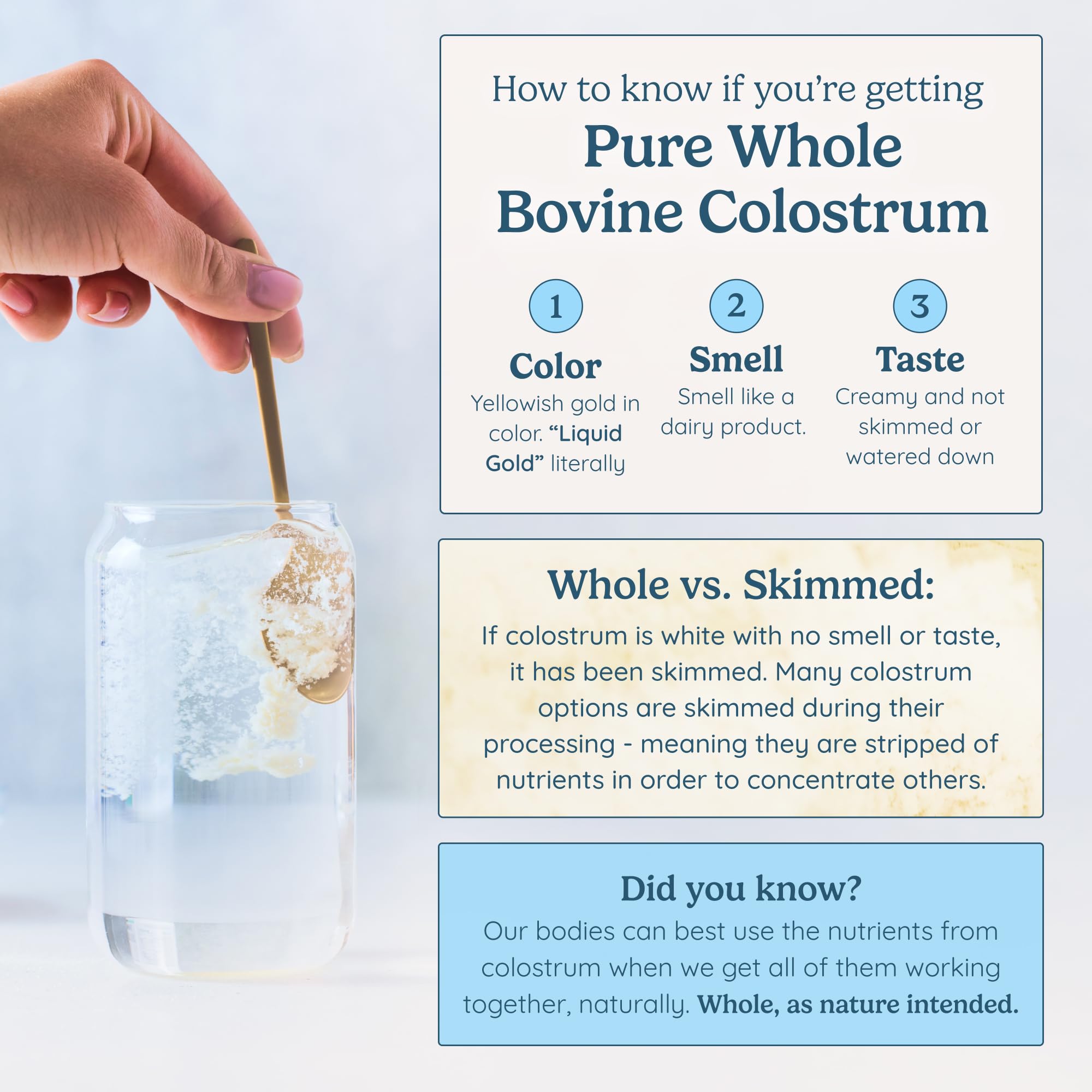 WONDERCOW Colostrum Supplement Powder for Gut Health, Immune Support & Wellness | Natural IgG Pure Whole Bovine Colostrum Superfood, Unflavored, 60 Servings