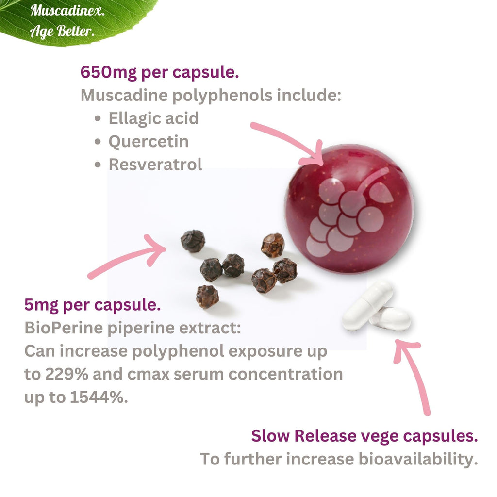 Whole Muscadine Supplement. Polyphenol-Rich. 2X Bioavailability.