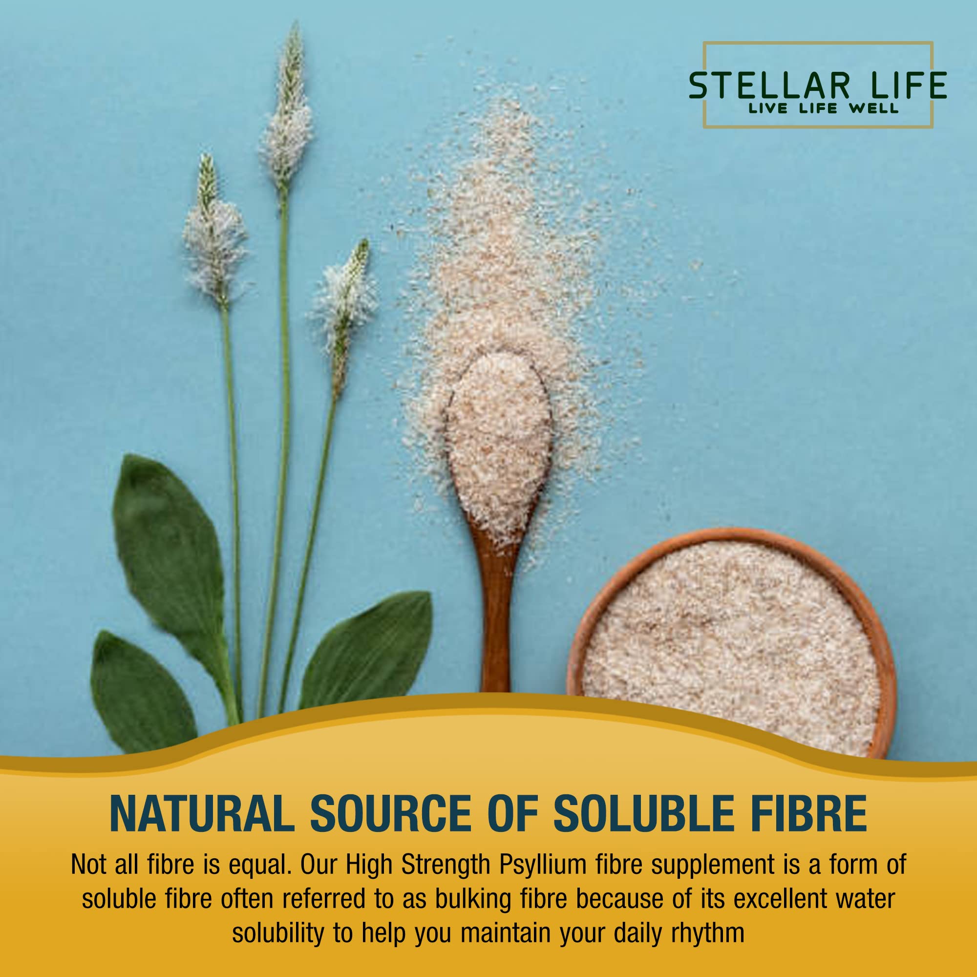 Fibre Supplement 5000mg Psyllium Husk with 500 Million Multi-Strain Probiotic - High Strength - Natural Soluble Fiber Supplement Plantago Ovata Seeds 2 Month Supply Psyllium Husks Capsules Vegan, UK