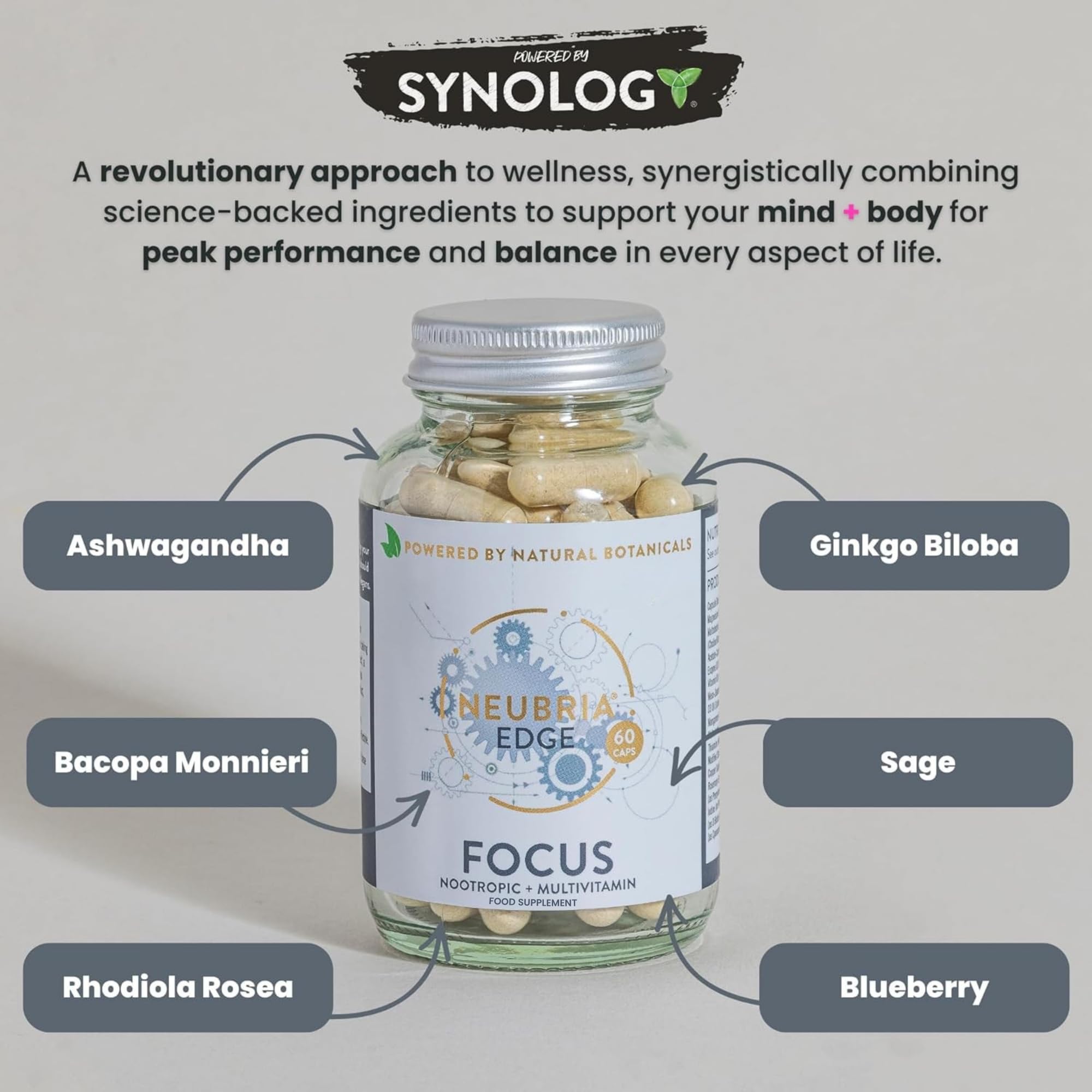 Neubria Edge Focus Formula Nootropic and Multivitamin, Helps to Improve Concentration and Focus with 22 Essential Vitamins and Minerals - 60 Capsules (one month's Supply)