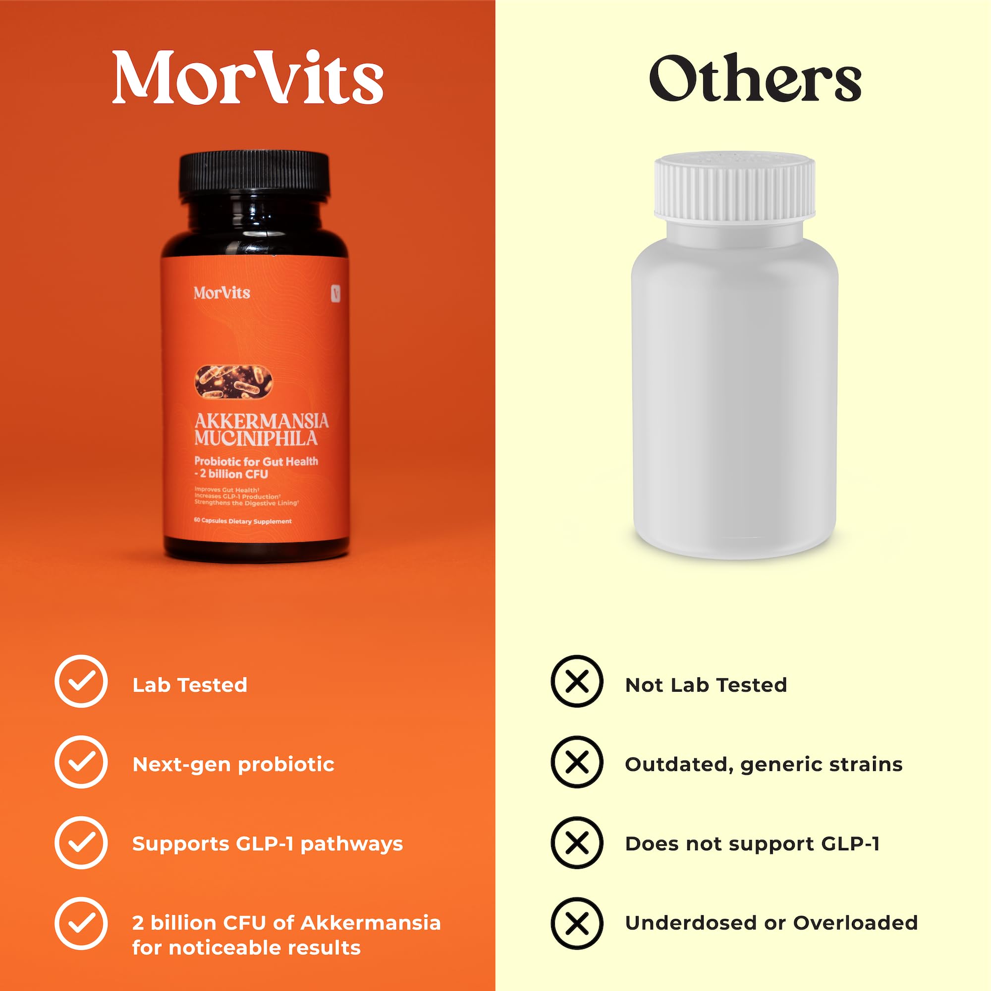 Morvits Akkermansia Probiotic for Cravings & Gut Health | GLP-1 Support Supplement with Akkermansia Muciniphila – 2 Billion CFU, Inulin Prebiotic Fiber – 60 Capsules, 1 Pack