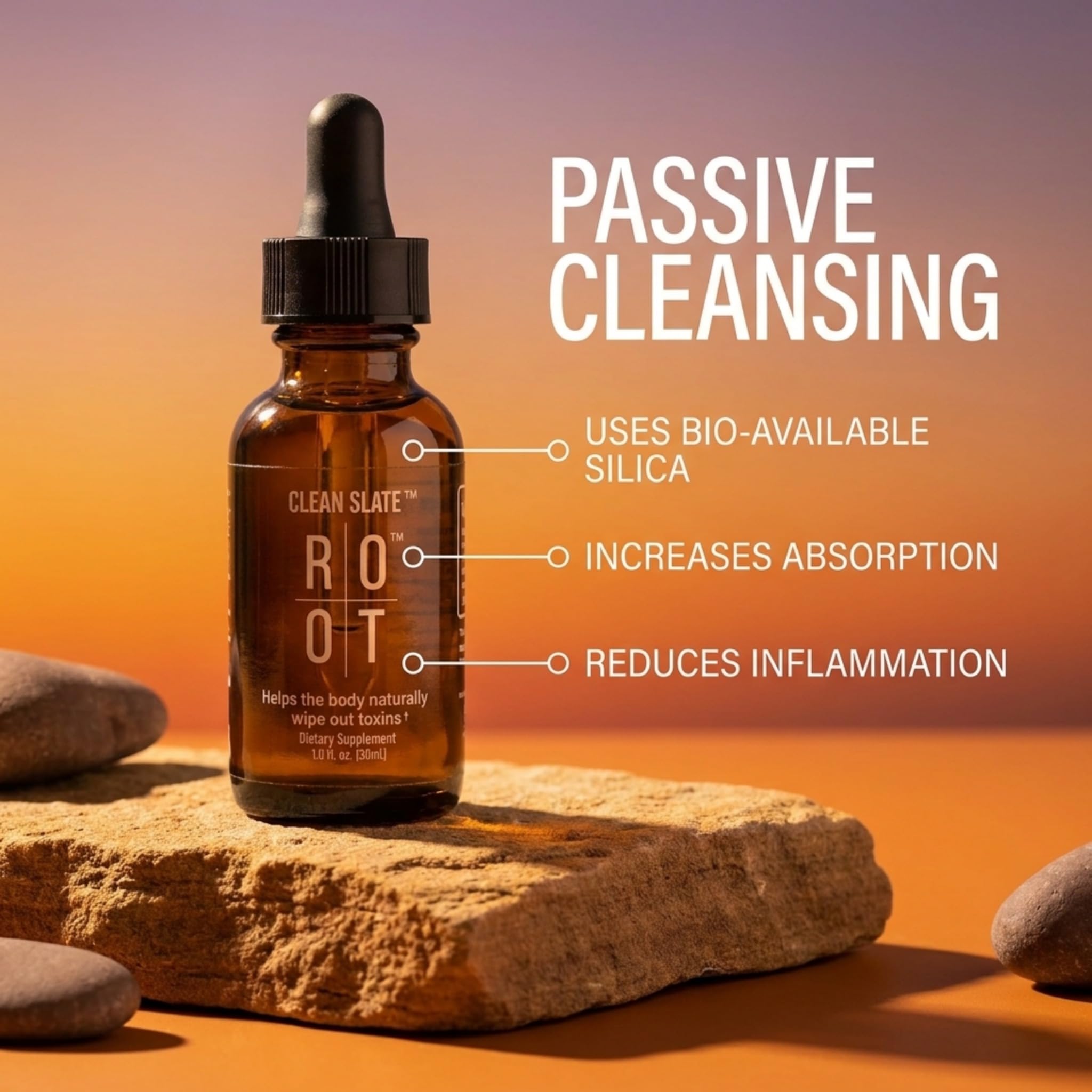 THEROOTBRANDS Root Wellness Clean Slate - by Dr. Rahm | Bioavailable Silicic Acid with Added Vitamin C - (30 ml)