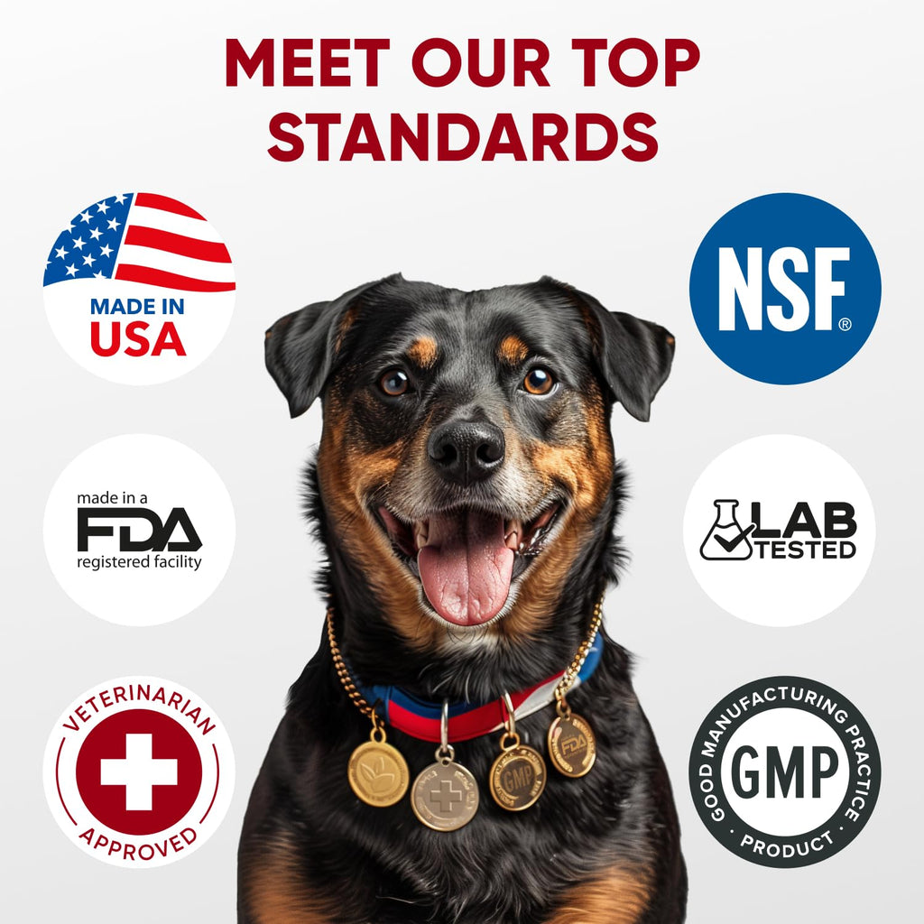 Probiotics for Dogs Digestive Health - Probiotic Chews for Gut Health, Itchy Skin Yeast, Diarrhea - USA Product - Immune Support Supplement - Dog Digestive Support & Allergy Relief Chews with Enzymes