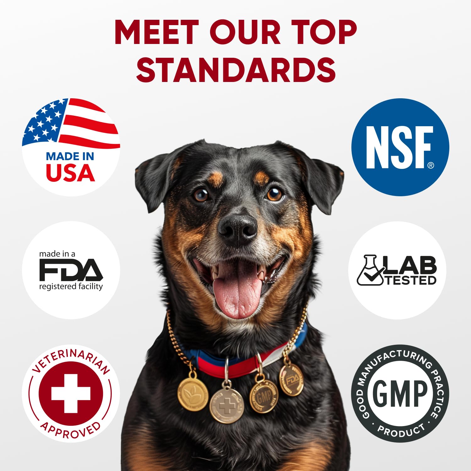 Probiotics for Dogs Digestive Health - Probiotic Chews for Gut Health, Itchy Skin Yeast, Diarrhea - USA Product - Immune Support Supplement - Dog Digestive Support & Allergy Relief Chews with Enzymes