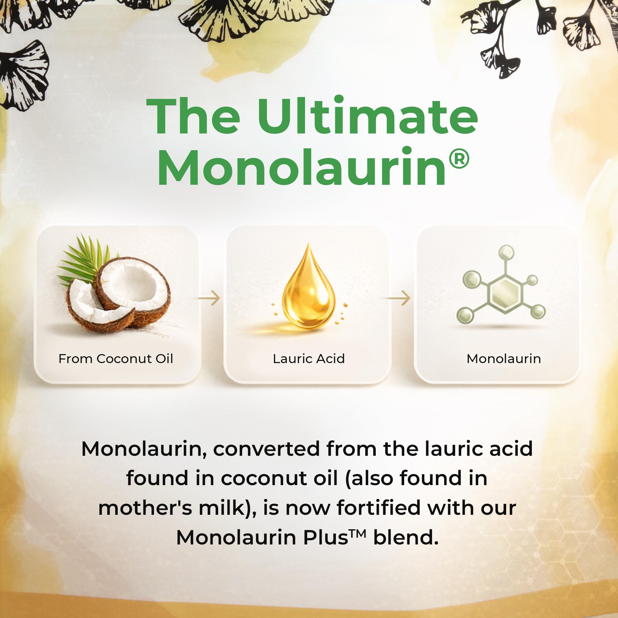 UltraLaurin® Monolaurin Supplement – 3,000 mg Coconut-Derived Pellets for Immune & Gut Health Support, Digestive Wellness – 21 oz / 200 Servings – Vegan, Non-GMO, Natural Immune & Digestive Support