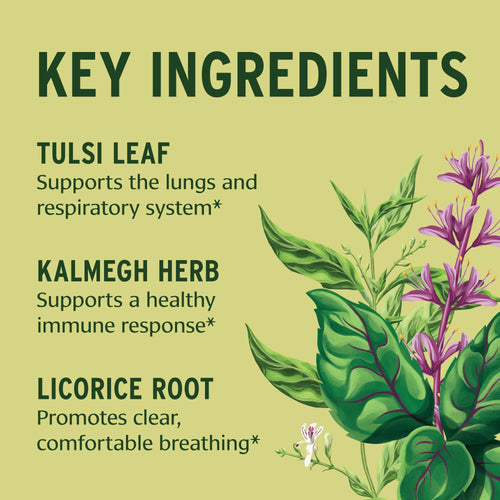 Banyan Botanicals Organic Immune Strong – Systemic Defense & Cellular Fortification – with Turmeric, Tulsi & Ashwagandha for Year-Round Immune Support – 90 Tablets – USDA Organic