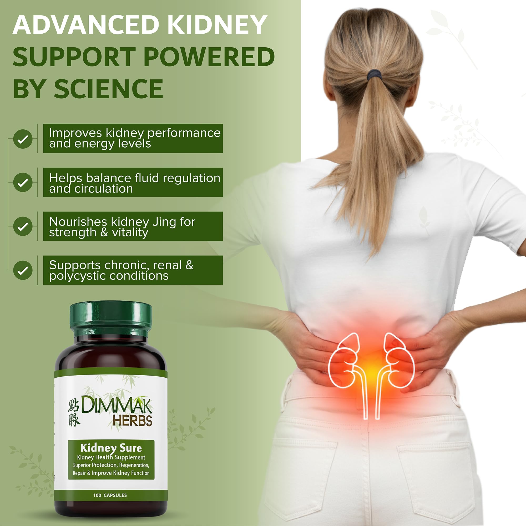 Dimmak Herbs Kidney Sure- Kidney Cleanse & Revitilization Tonic- Organic Herbal Support for Renal Health, Urinary Tract Flow & Vitality- TCM Doctor Formulated, Vegan- 400mg 100 Capsules