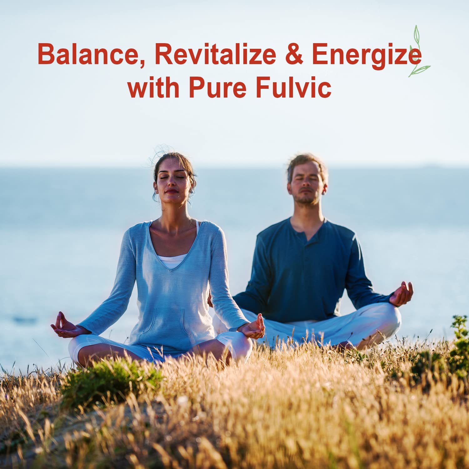 Vital Earth Minerals Fulvic Minerals Liquid – Fulvic Acid Supplement with 70+ Trace Minerals, Electrolytes for Energy & Vitality, 32 Oz Ea + 1 Oz Cup