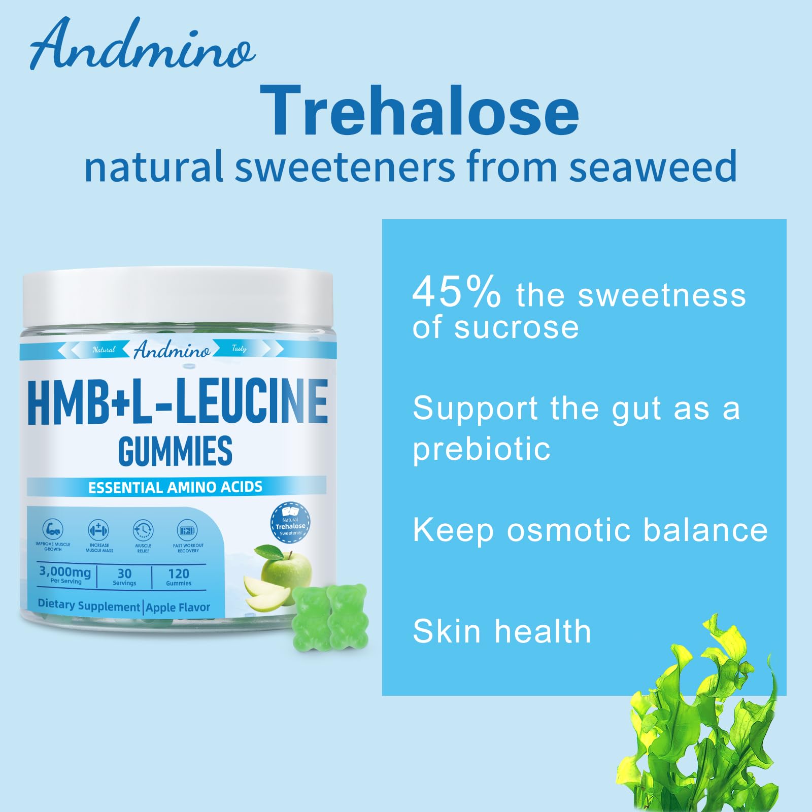 andmino HMB and L-Leucine Gummies, 3000mg, with Trehalose, for Muscle Growth, Muscle Relief and Workout Recovery, for Adults & Elder, Non-GMO, Vegan, Gluten Free, Apple Flavor, 120
