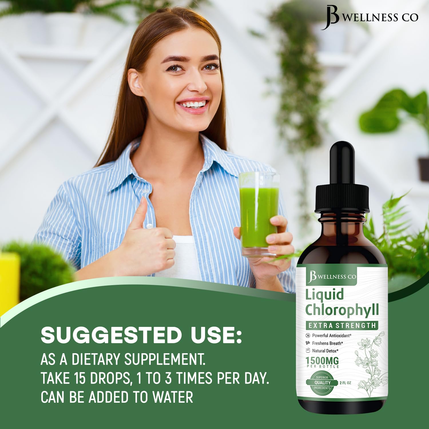 [2-Pack] Liquid Chlorophyll Drops - All-Natural Concentrate – Immune System Support, Energy Booster, and Digestion – from Mulberry Leaves - 240 Servings - [2-Pack]