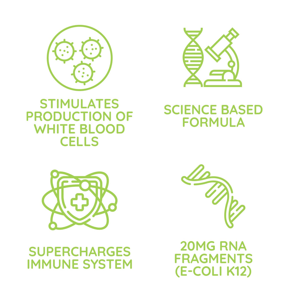 Beljanski® Products - ReaLBuild® - Immune Support Supplement - 10 Doses