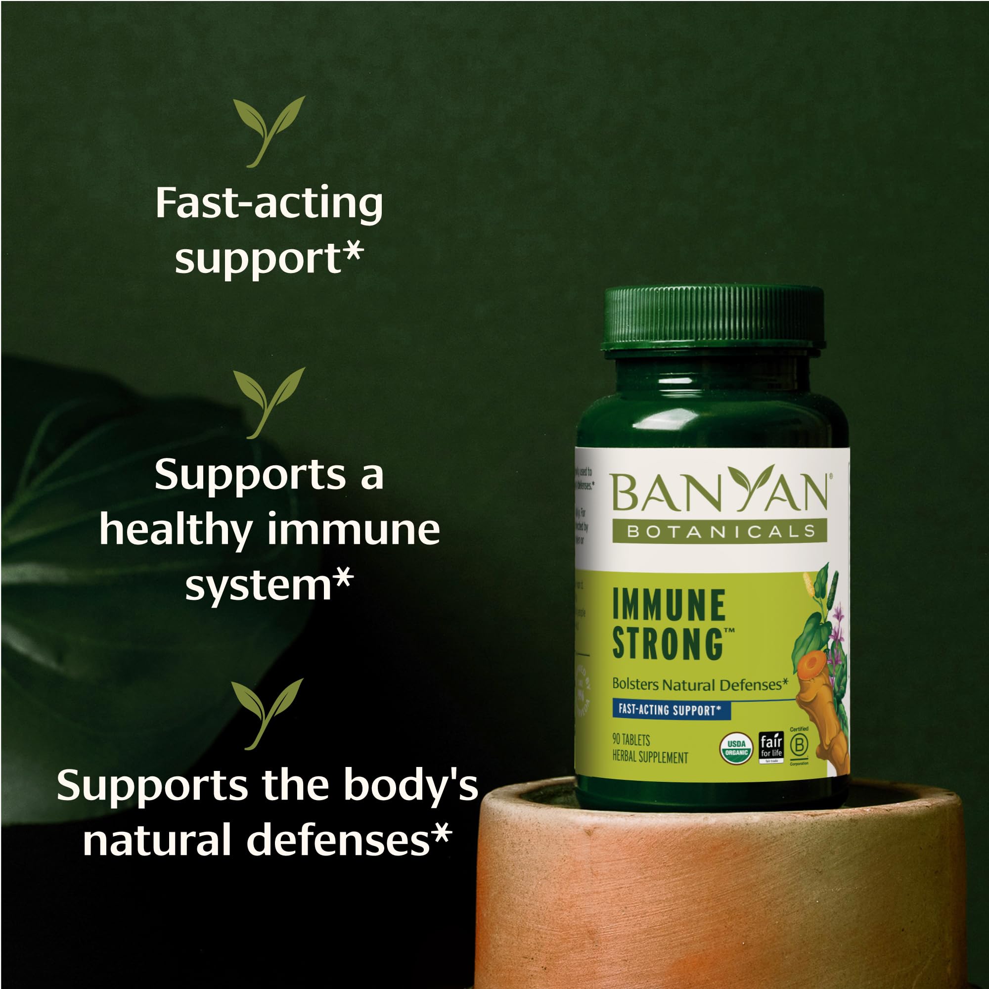 Banyan Botanicals Organic Immune Strong – Systemic Defense & Cellular Fortification – with Turmeric, Tulsi & Ashwagandha for Year-Round Immune Support – 90 Tablets – USDA Organic
