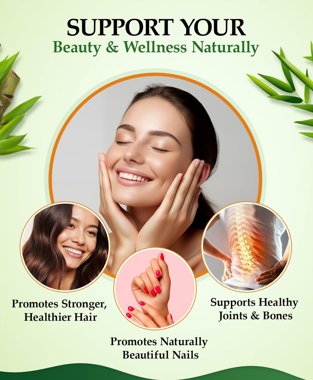 Organic Silica Extract 10:1| High Strength Naturally Sourced Silica Supplement | for Skin Health and Mobility | Vegan Capsules | from Bamboo Extract | UK Made (100G)