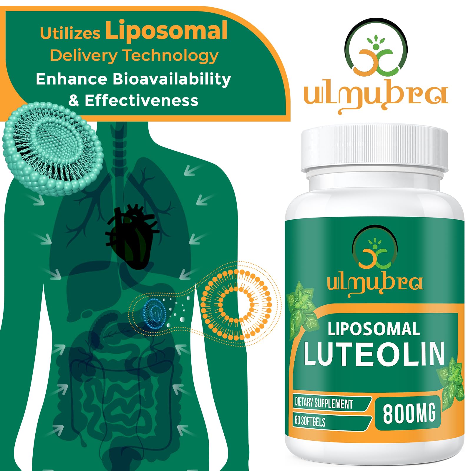 Ulmubra 800MG Liposomal Luteolin Supplement - Maximum Absorption, Premium Antioxidant Supplement for Brain & Overall Well-Being, 120 Softgels - 60-Day Supply