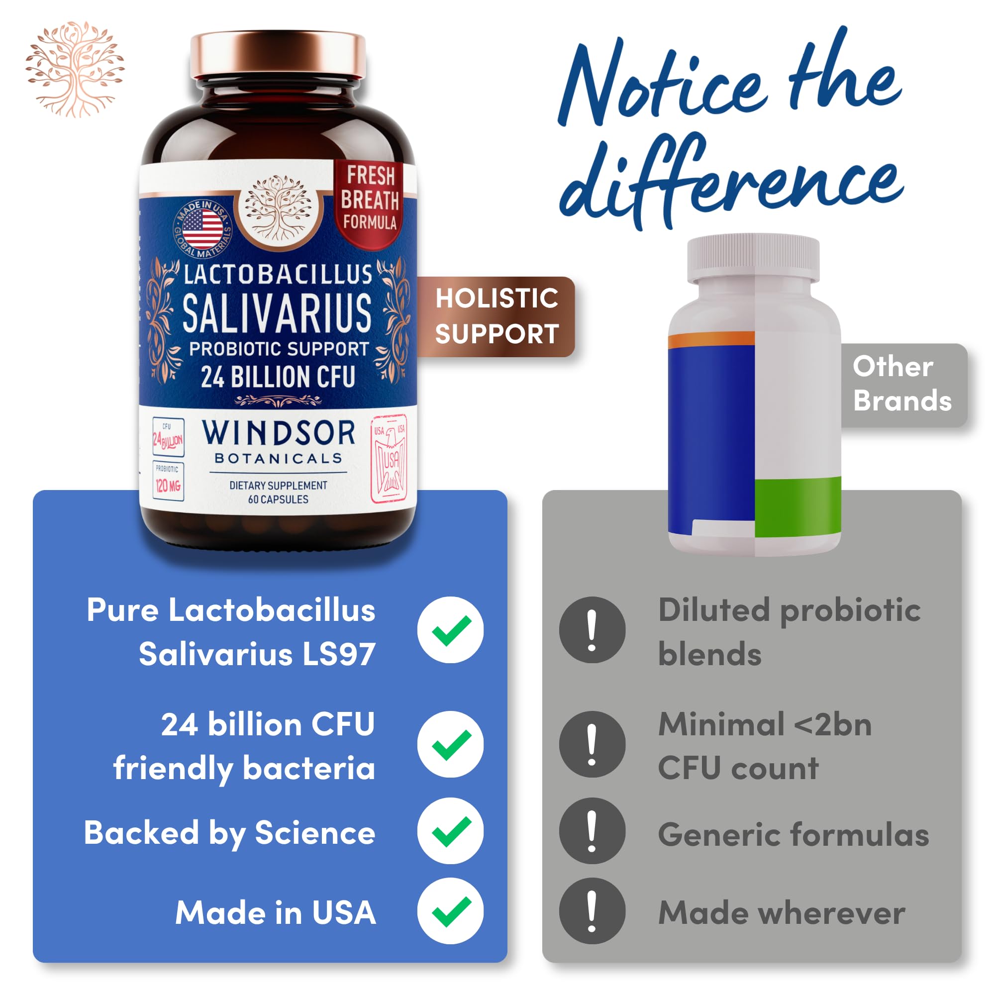 Lactobacillus Salivarius Probiotic - 24bn CFU L Salivarius Dental Probiotics for Teeth and Gums - Bad Breath Treatment for Adults, Immune Support, Digestive Health - 60 Oral Probiotic Capsules