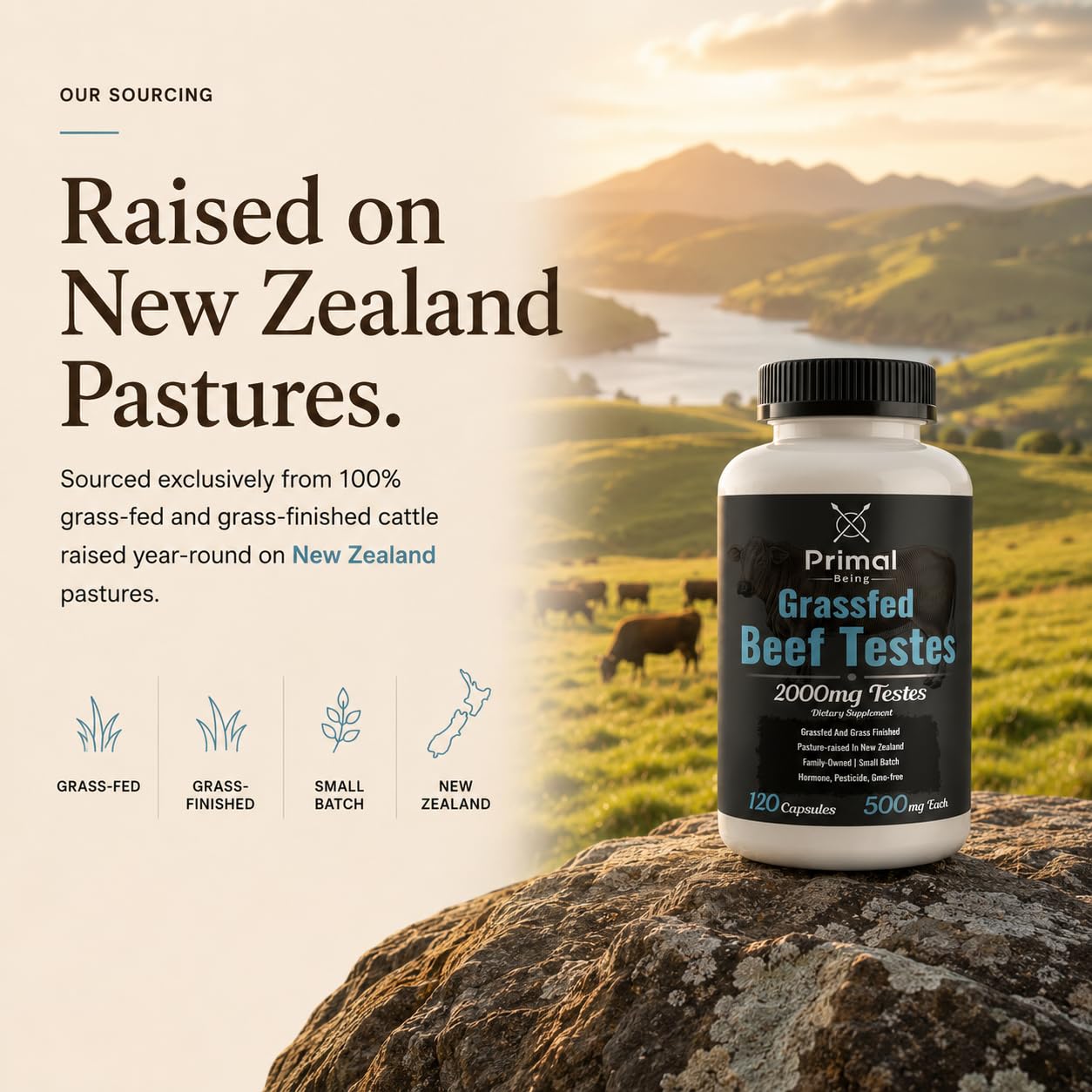 Primal Being Grassfed Beef Testes Capsules – Nutrient-Dense Beef Organ Supplement for Men, New Zealand Sourced, 120 Capsules